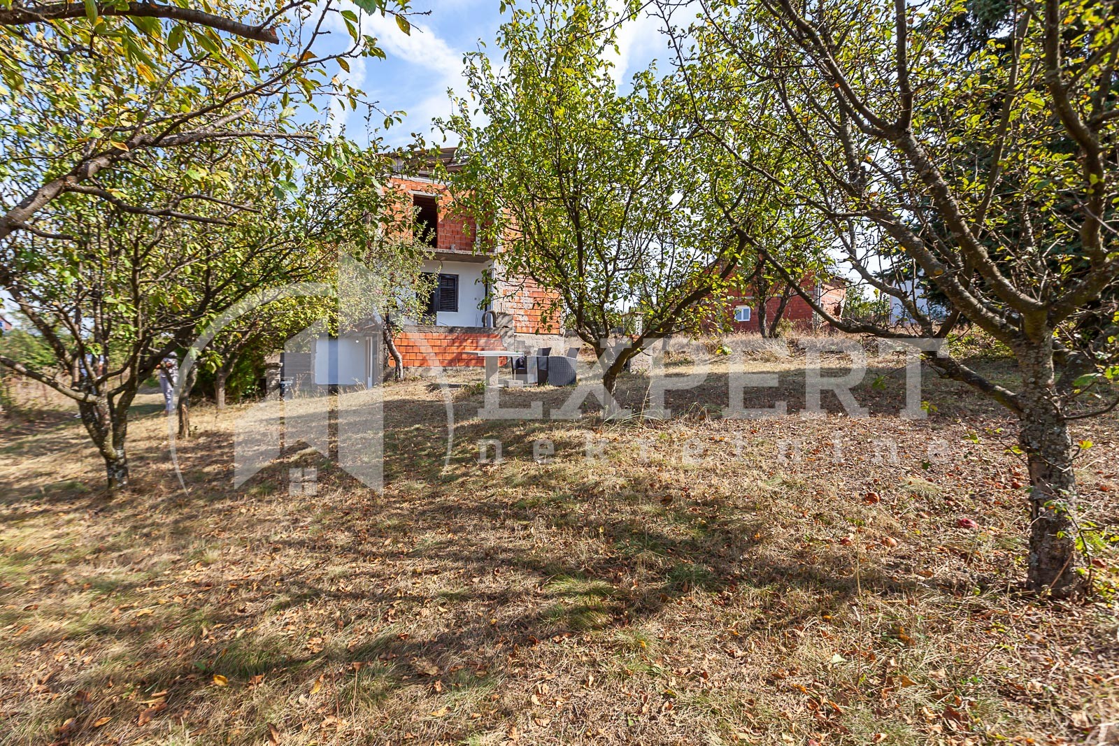 četvorosobna kuća, 270 m2, Palilula, Donjovlaška prilaz 3 ID: p-09847 11