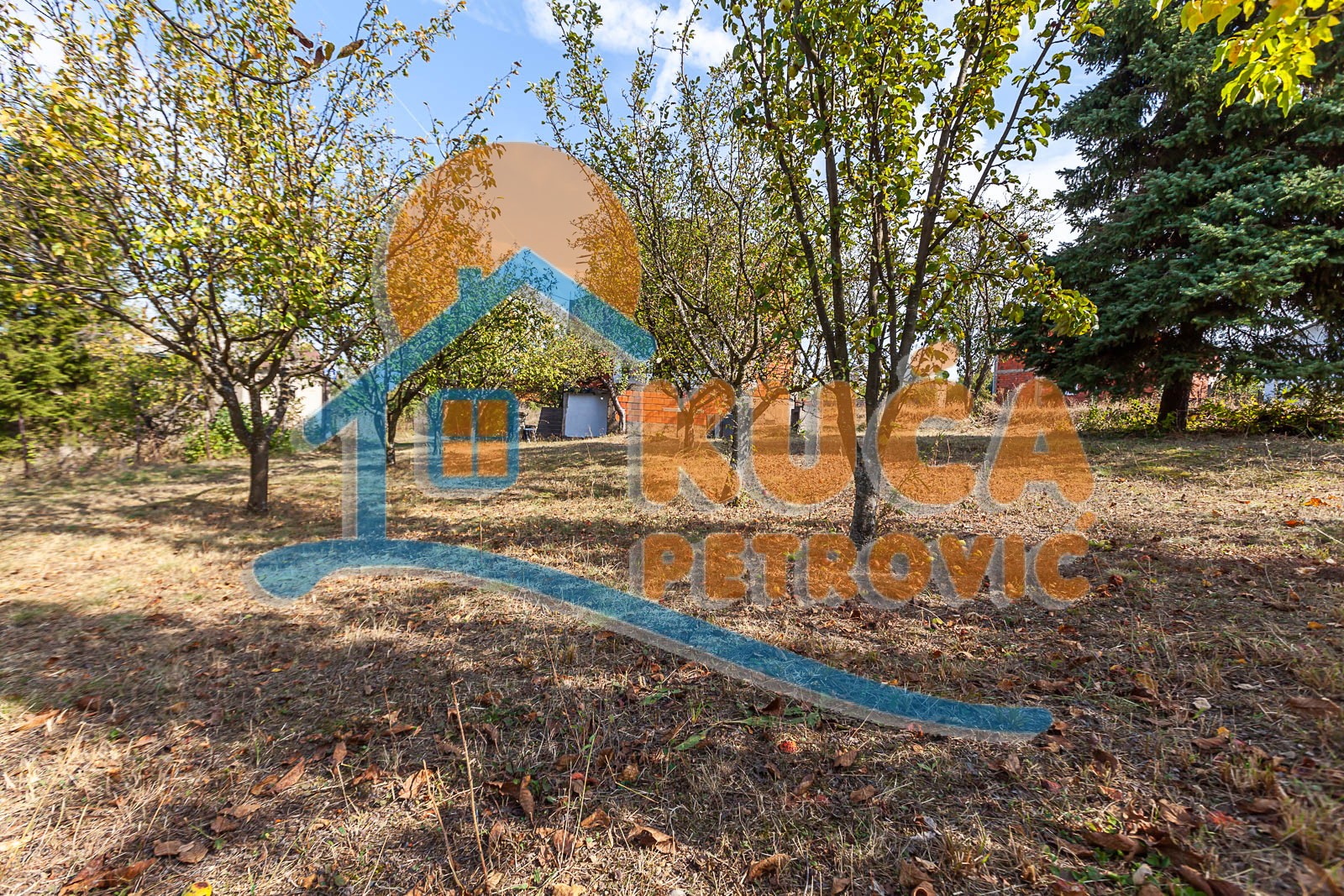 četvorosobna kuća, 270 m2, Palilula, Donjovlaška prilaz 3 ID: p-09847 10