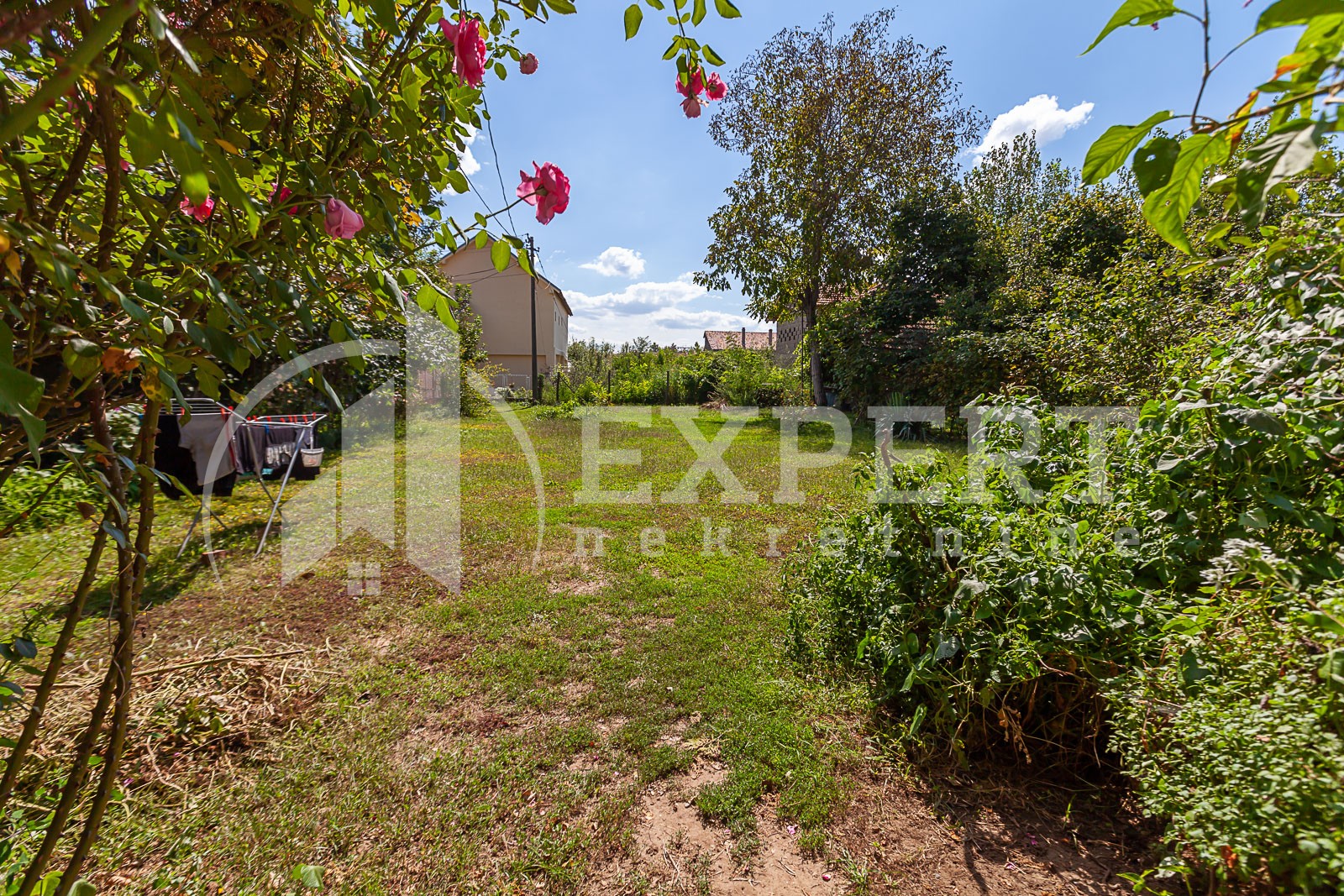 četvorosobna kuća, 300 m2, Popovac, Popovac ID: p-09598 5