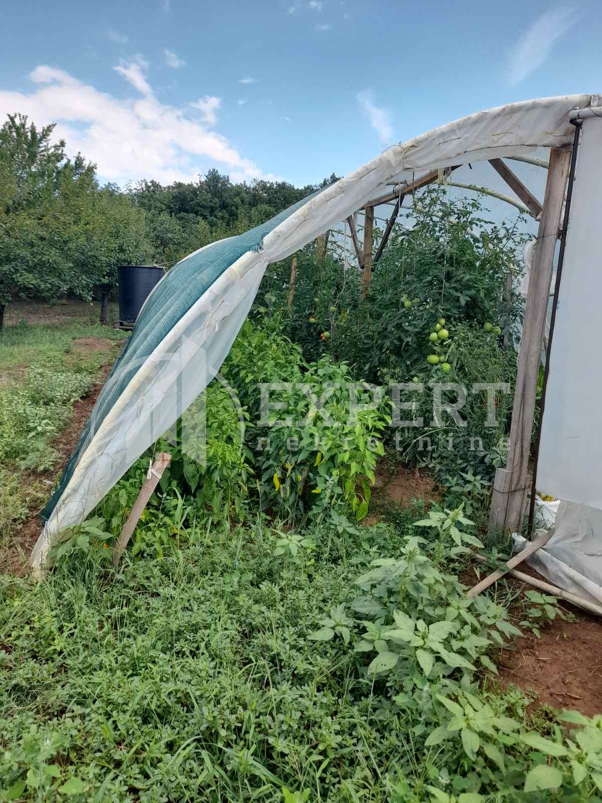 četvorosobna kuća, 350 m2, Knić, Knić ID: p-06454 17