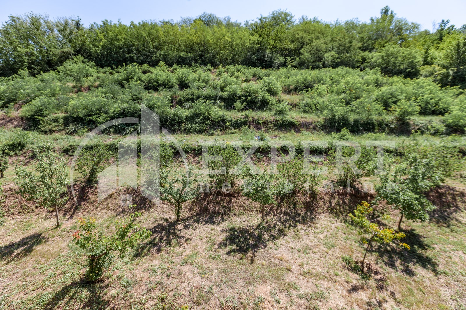 četvorosobna kuća, 350 m2, Palilula, Zdravke Vučković ID: p-06065 14