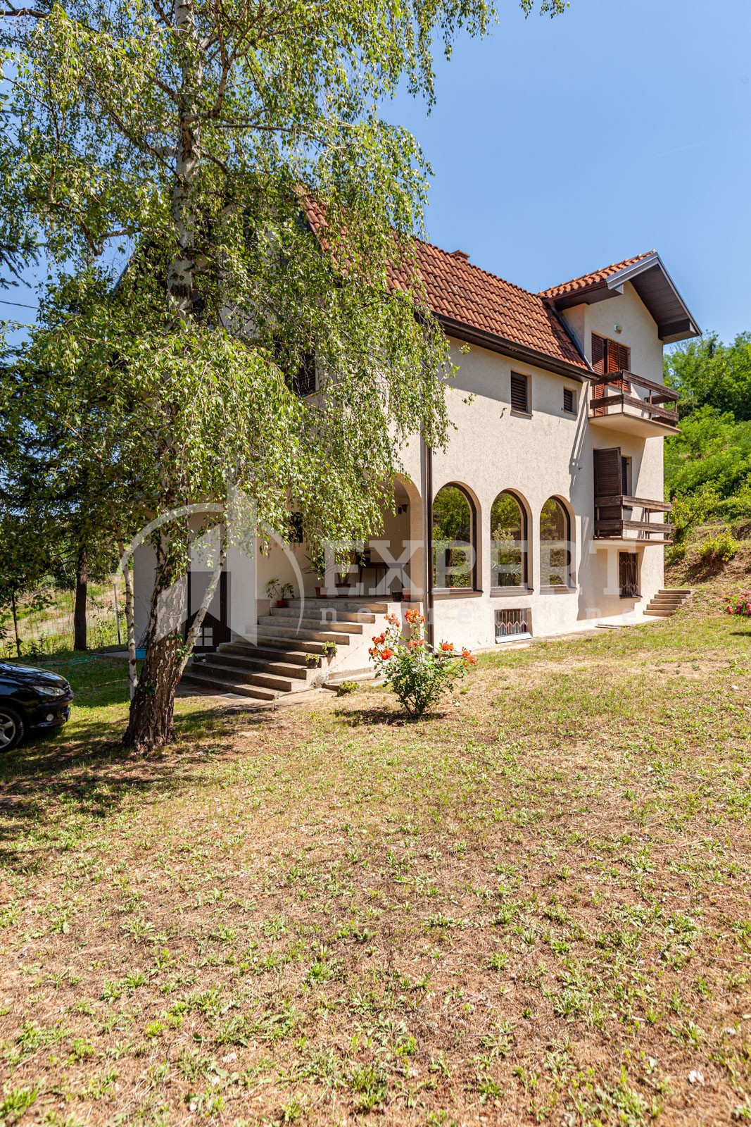 četvorosobna kuća, 350 m2, Palilula, Zdravke Vučković ID: p-06065 4