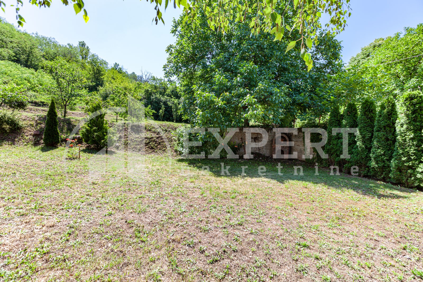 četvorosobna kuća, 350 m2, Palilula, Zdravke Vučković ID: p-06065 5