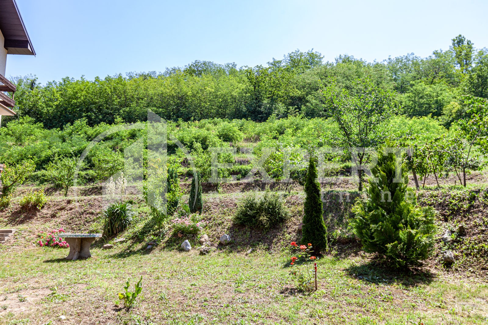 četvorosobna kuća, 350 m2, Palilula, Zdravke Vučković ID: p-06065 7