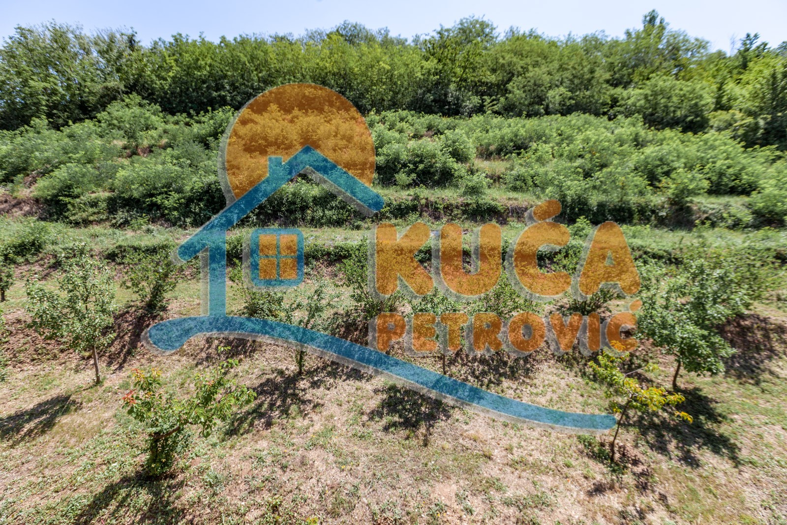 četvorosobna kuća, 350 m2, Palilula, Zdravke Vučković ID: p-06065 14