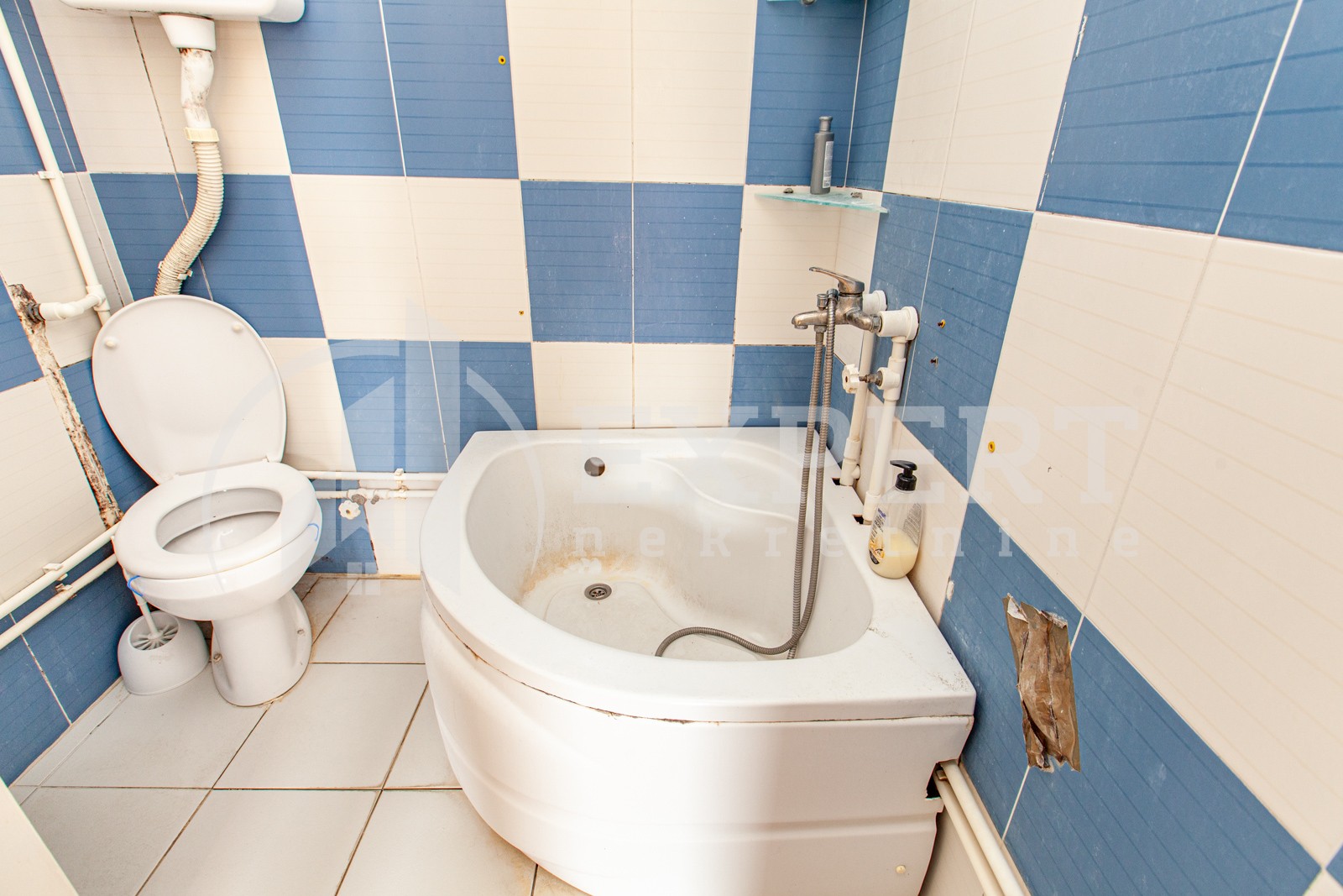 četvorosobna kuća, 375 m2, Medoševac, Medoševac ID: p-03172 17