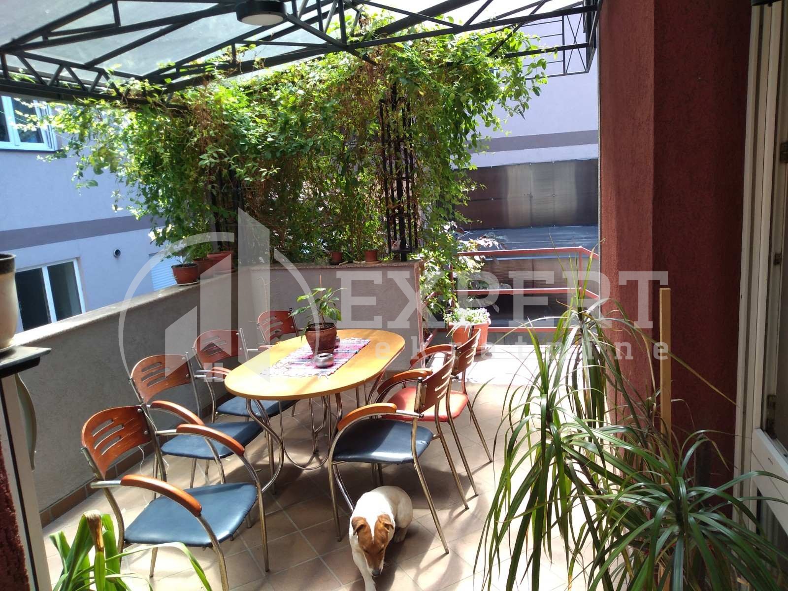 četvorosobna kuća, 450 m2, Centar, Jug Bogdanova ID: p-05303 4