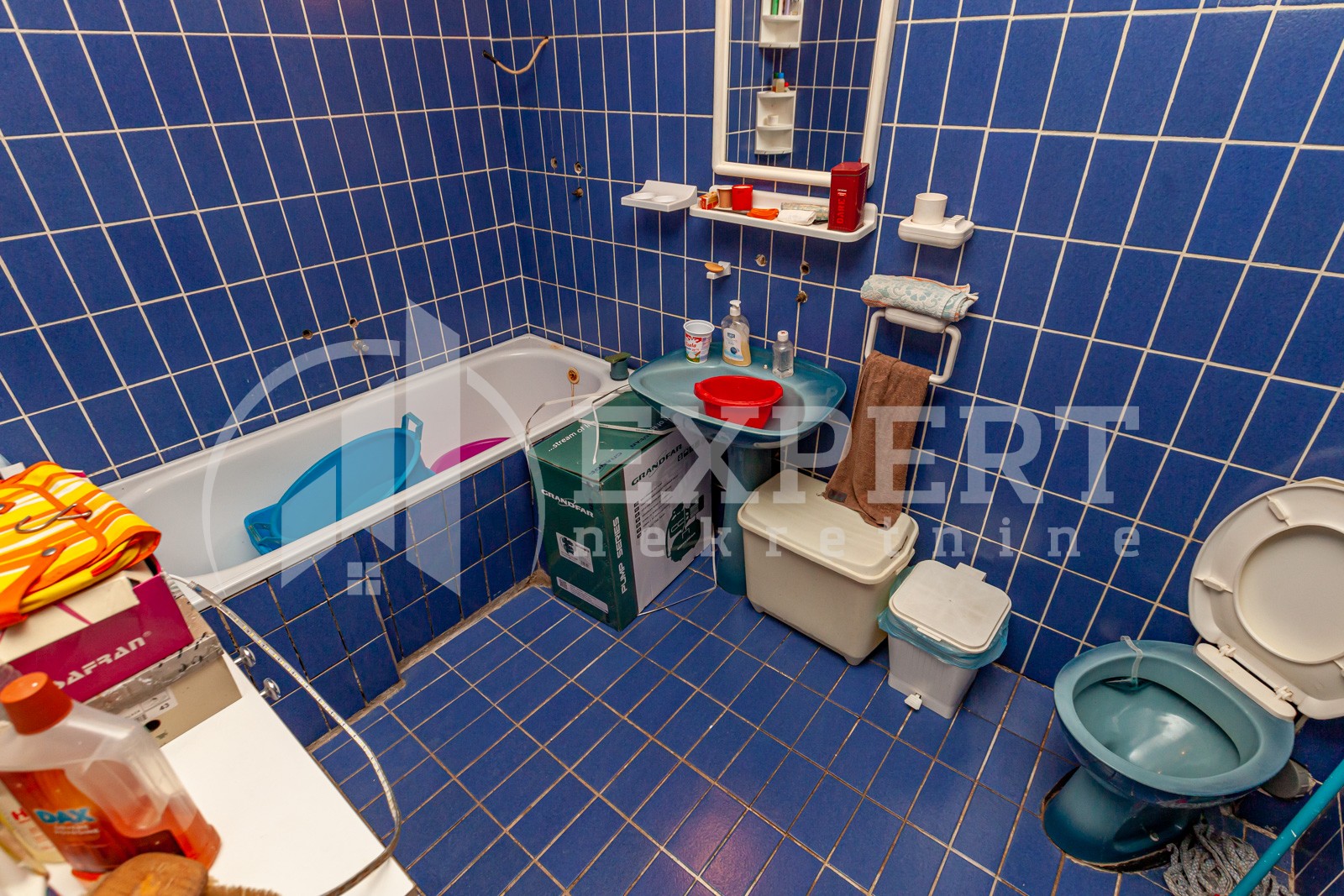 četvorosobna kuća, 450 m2, Palilula, Donjovlaška ID: p-07143 12