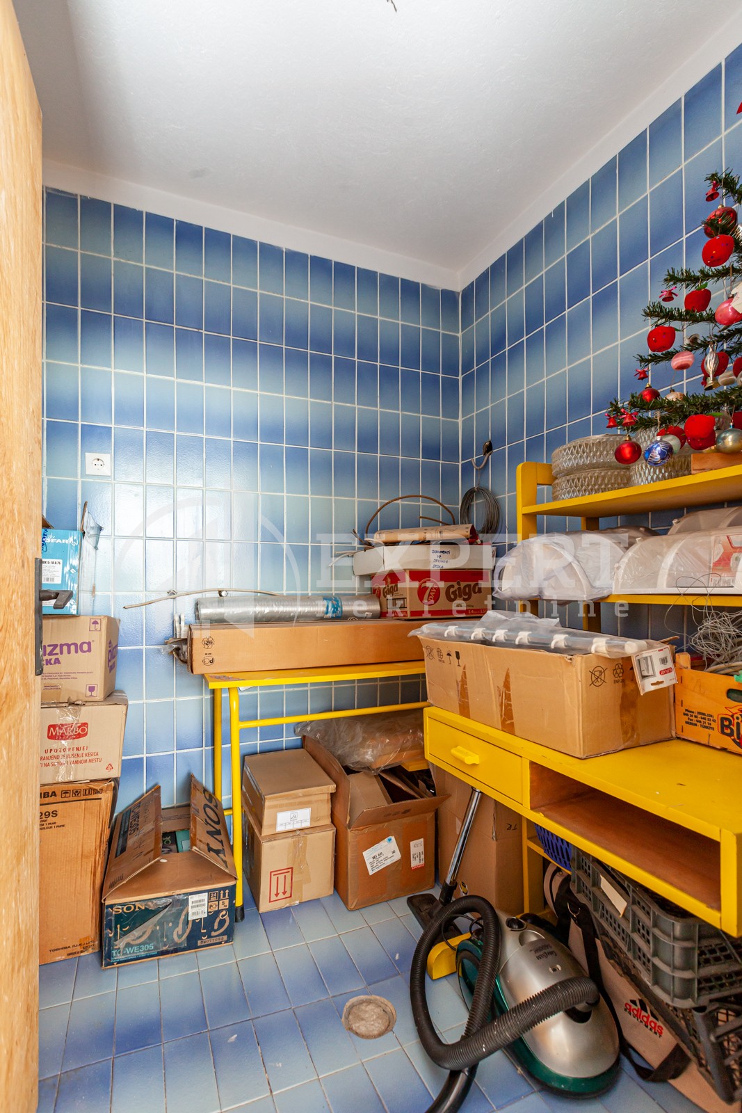 četvorosobna kuća, 450 m2, Palilula, Donjovlaška ID: p-07143 19