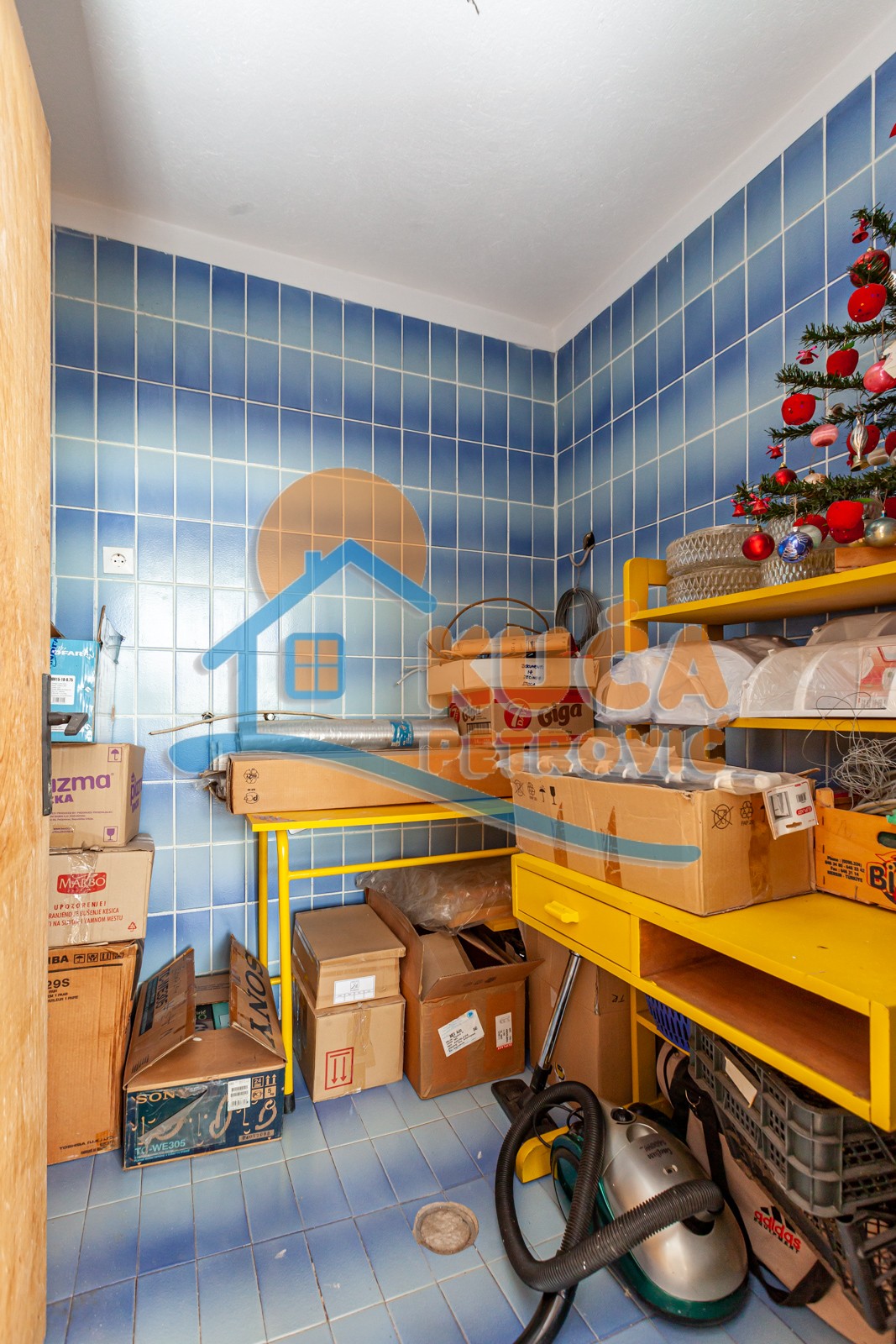 četvorosobna kuća, 450 m2, Palilula, Donjovlaška ID: p-07143 19