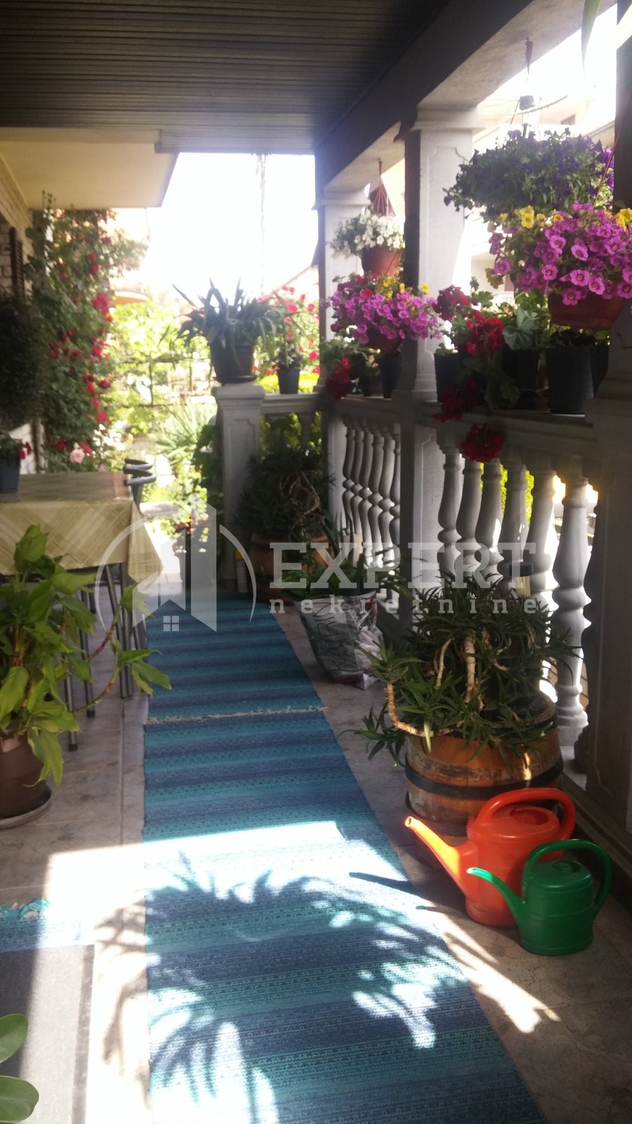 četvorosobna kuća, 560 m2, Pantelej, Krfska ID: p-04579 2