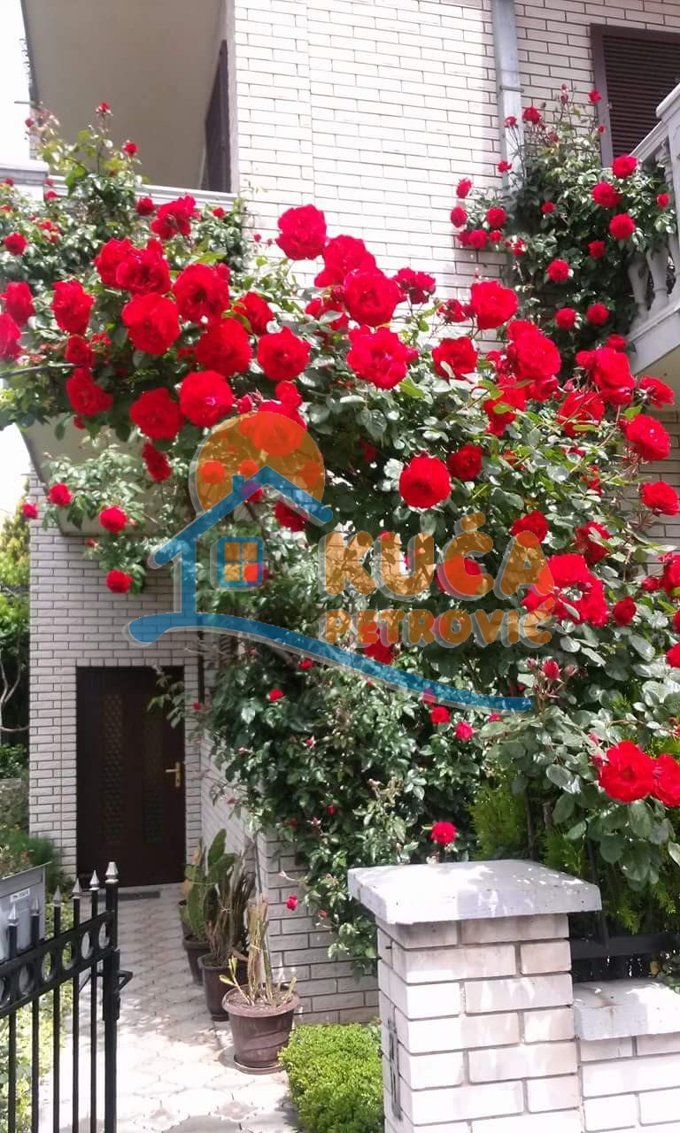 četvorosobna kuća, 560 m2, Pantelej, Krfska ID: p-04579 1