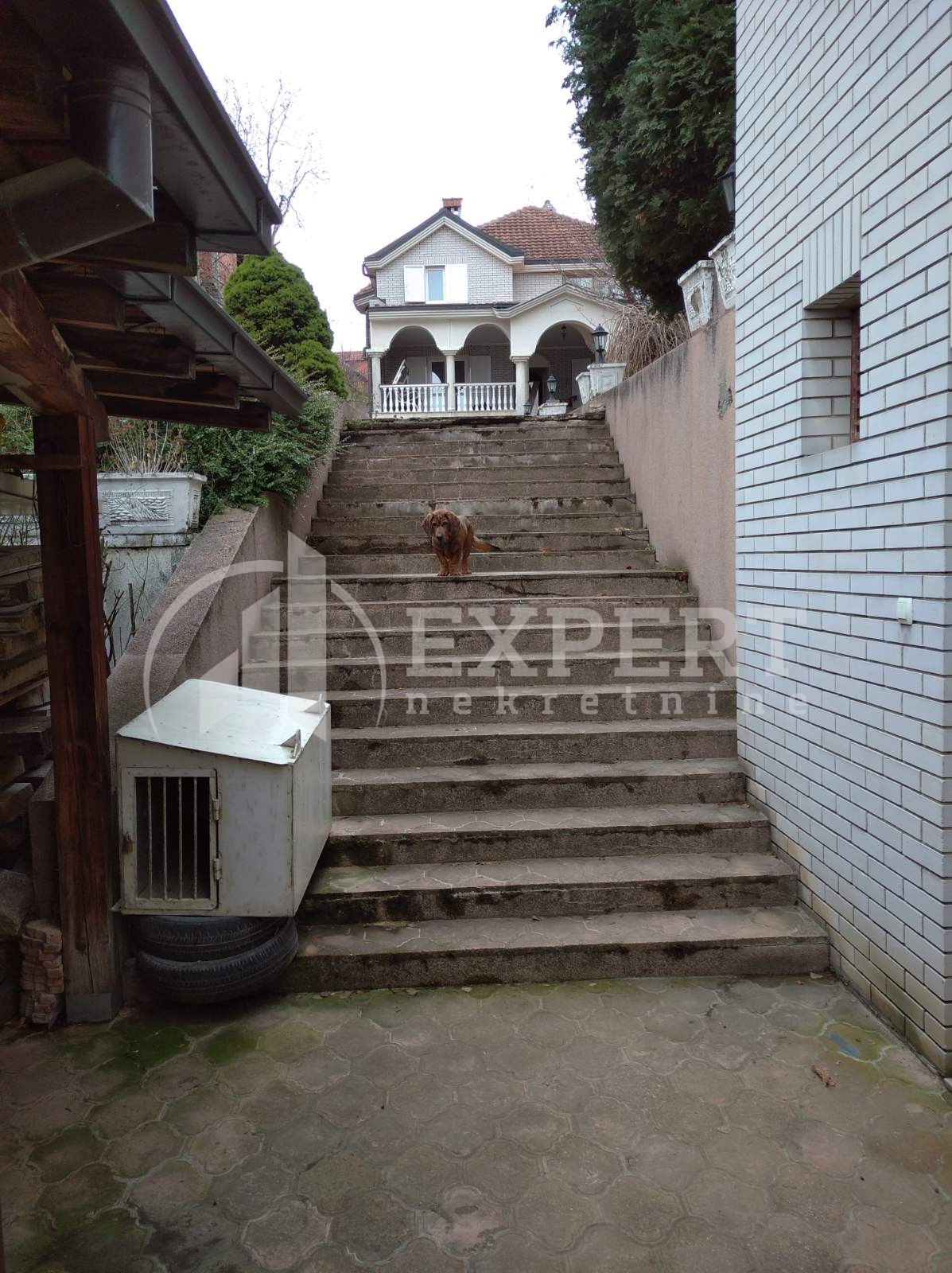 četvorosobna kuća, 561 m2, Palilula, Bubanjska ID: p-01086 47