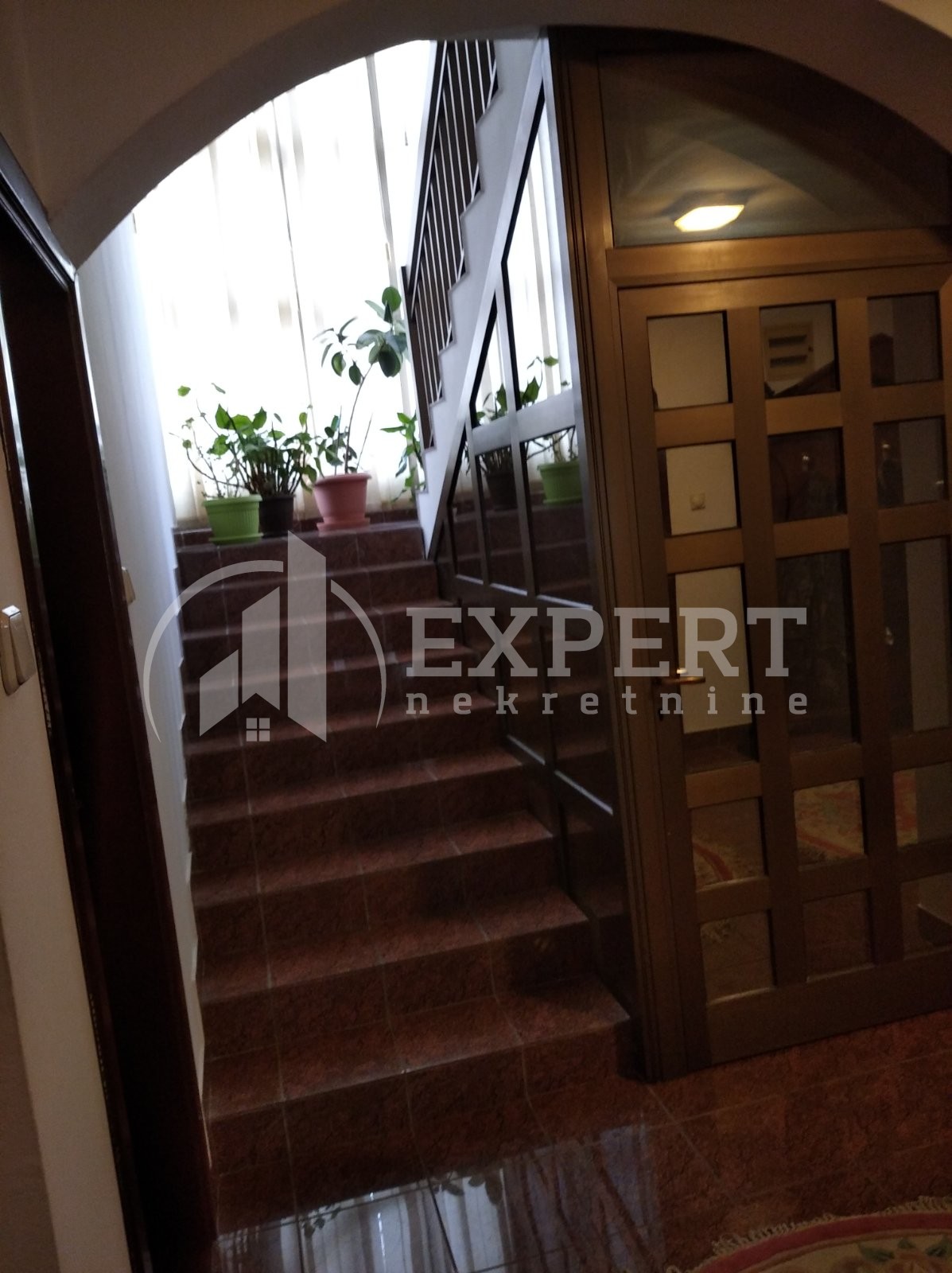 četvorosobna kuća, 561 m2, Palilula, Bubanjska ID: p-01086 10