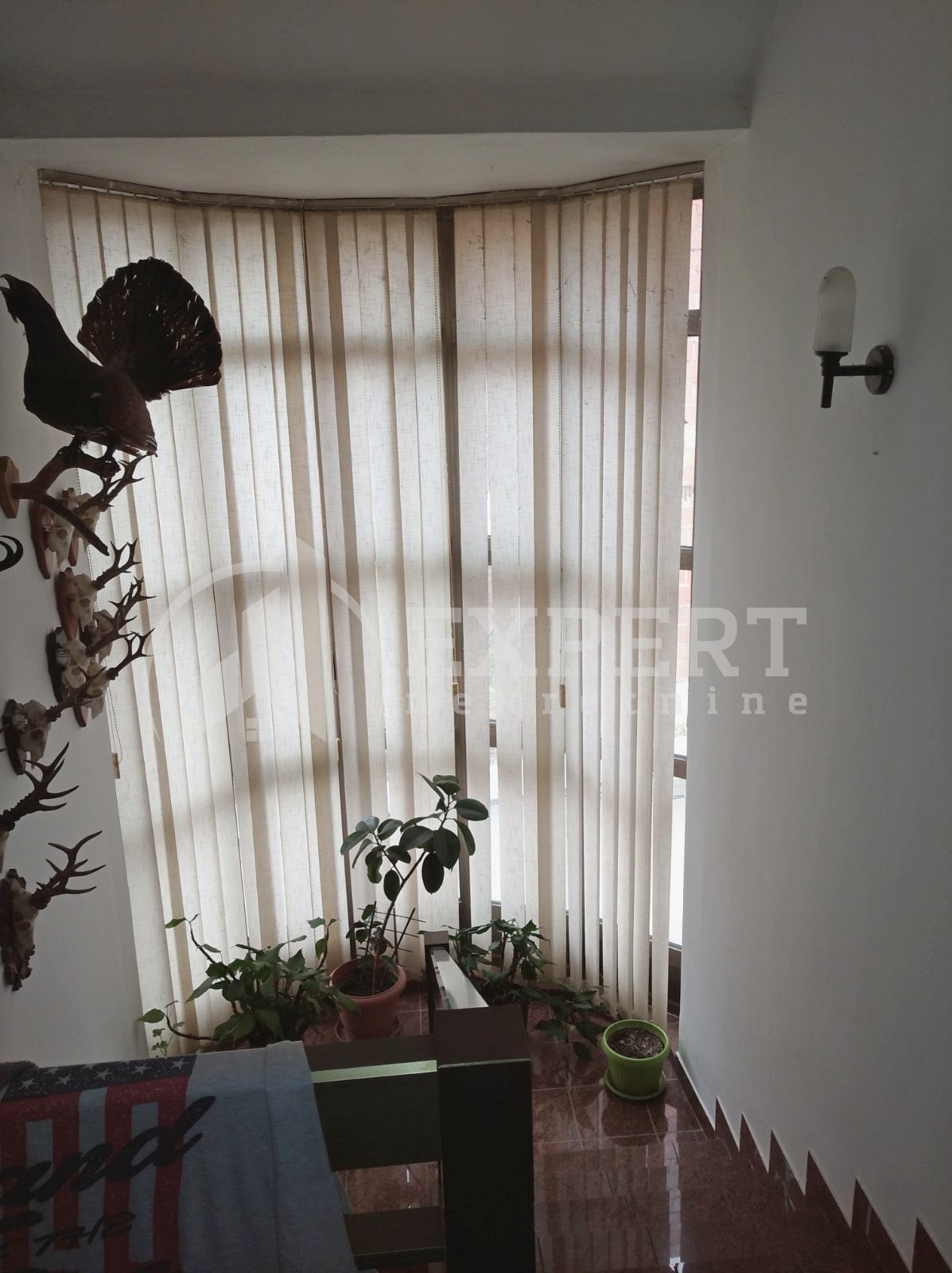 četvorosobna kuća, 561 m2, Palilula, Bubanjska ID: p-01086 12