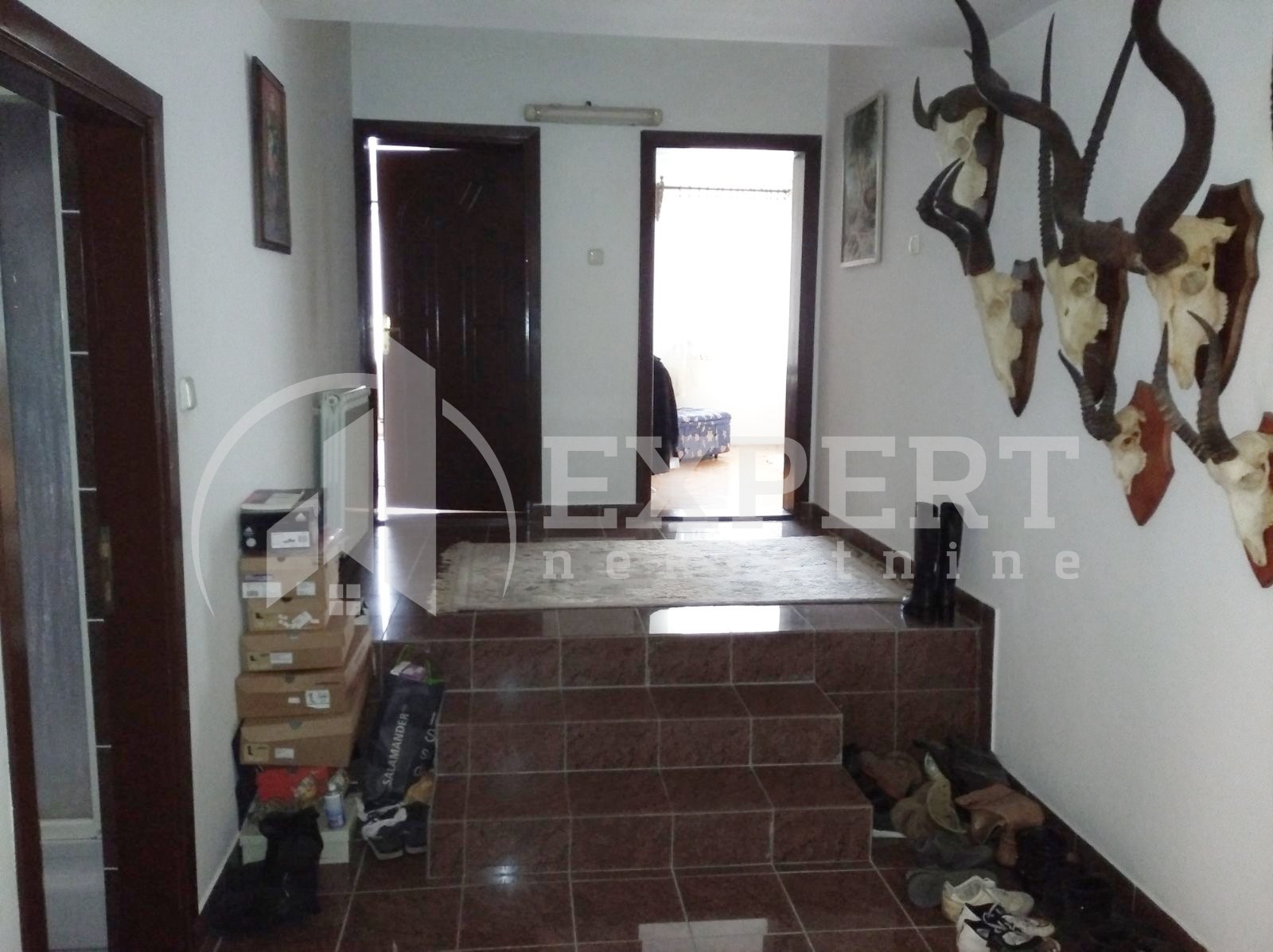 četvorosobna kuća, 561 m2, Palilula, Bubanjska ID: p-01086 19