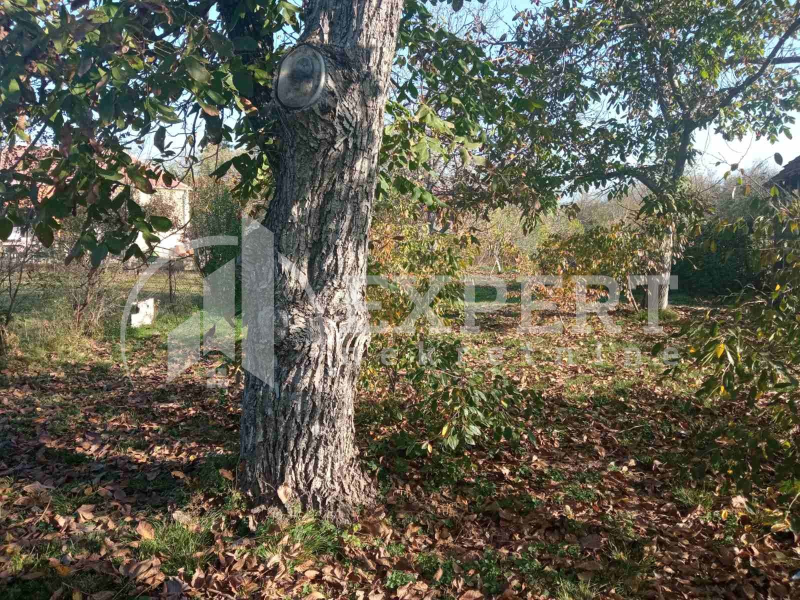 četvorosobna kuća, 58 m2, Bobovište, Bobovište ID: p-06974 5