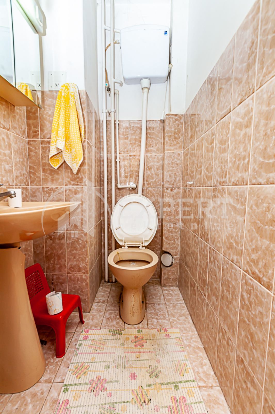 četvorosobna kuća, 600 m2, Pantelej, Despota Djurdja ID: p-010825 9