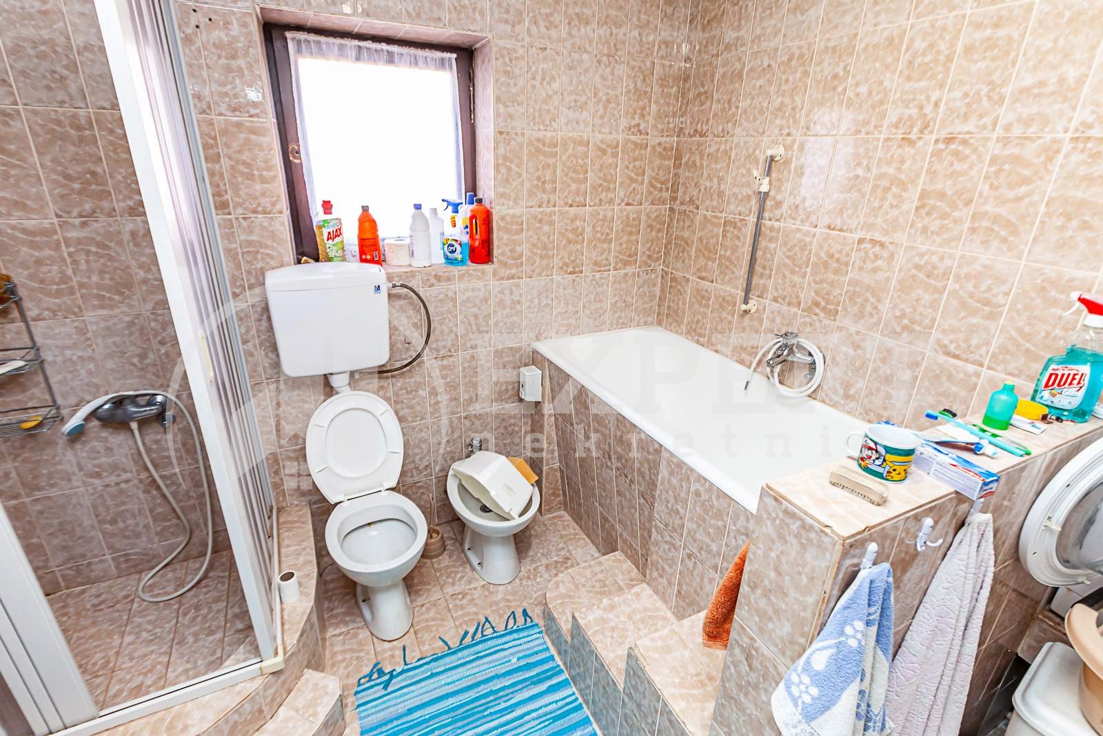 četvorosobna kuća, 600 m2, Pantelej, Despota Djurdja ID: p-010825 5