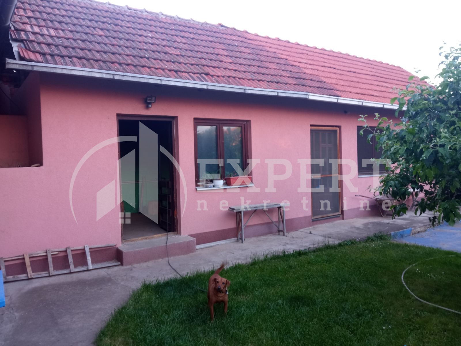 četvorosobna kuća, 680 m2, Donja Trnava, Donja Trnava ID: p-08721 4