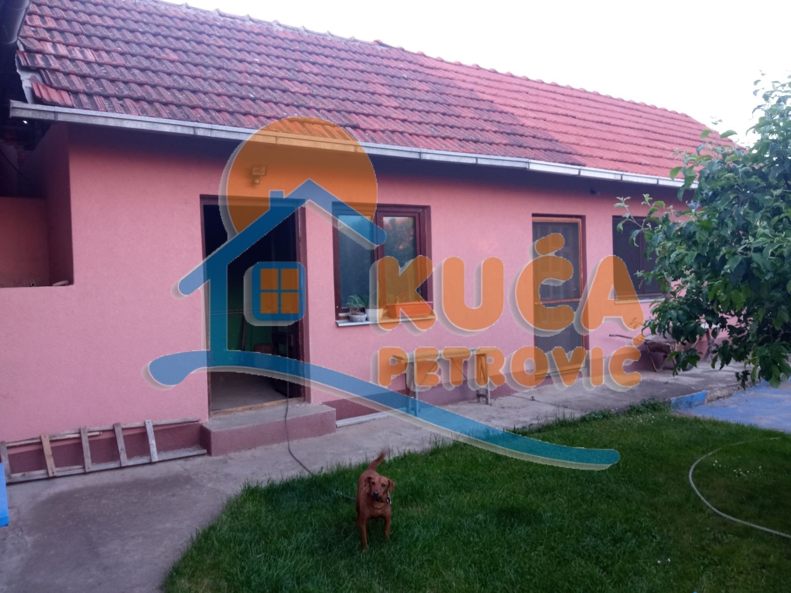 četvorosobna kuća, 680 m2, Donja Trnava, Donja Trnava ID: p-08721 4