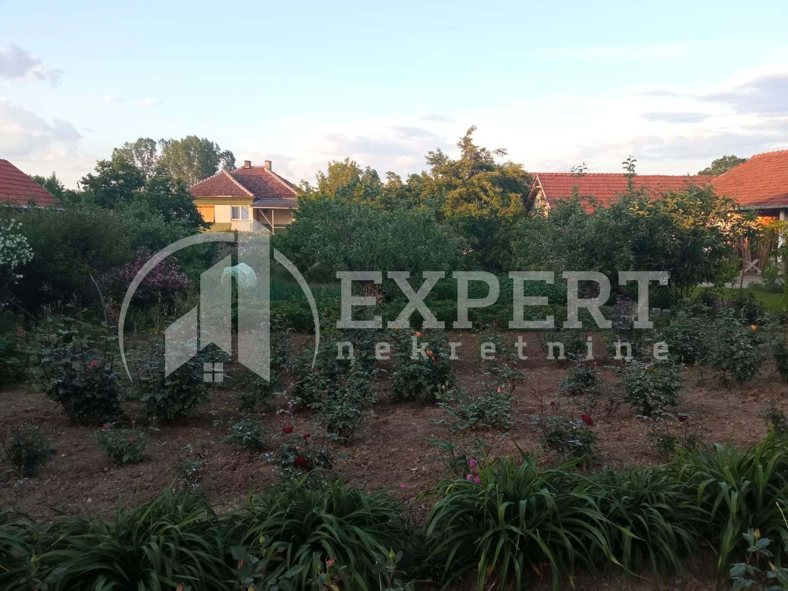 četvorosobna kuća, 680 m2, Donja Trnava, Donja Trnava ID: p-08721 19