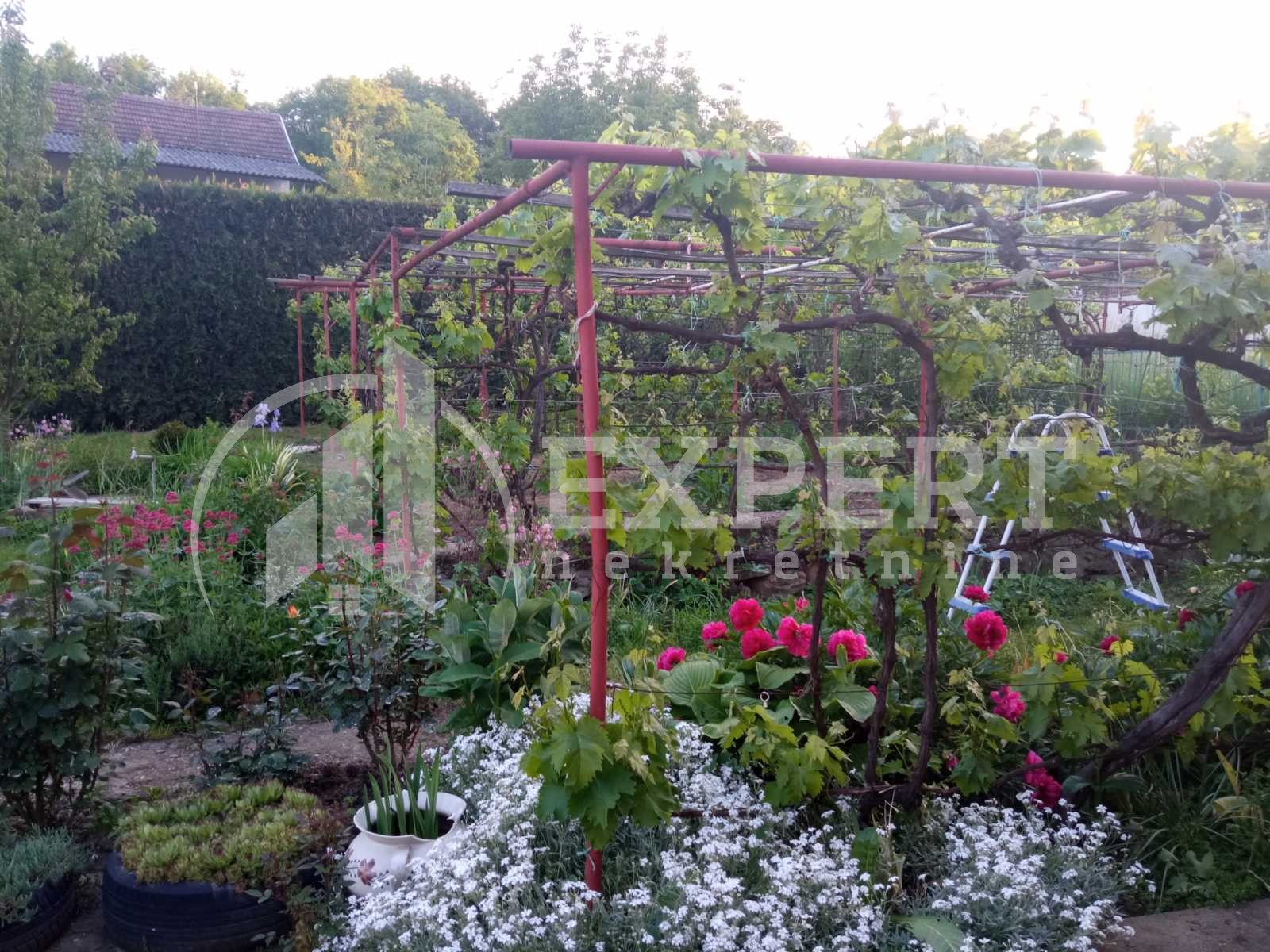 četvorosobna kuća, 680 m2, Donja Trnava, Donja Trnava ID: p-08721 9