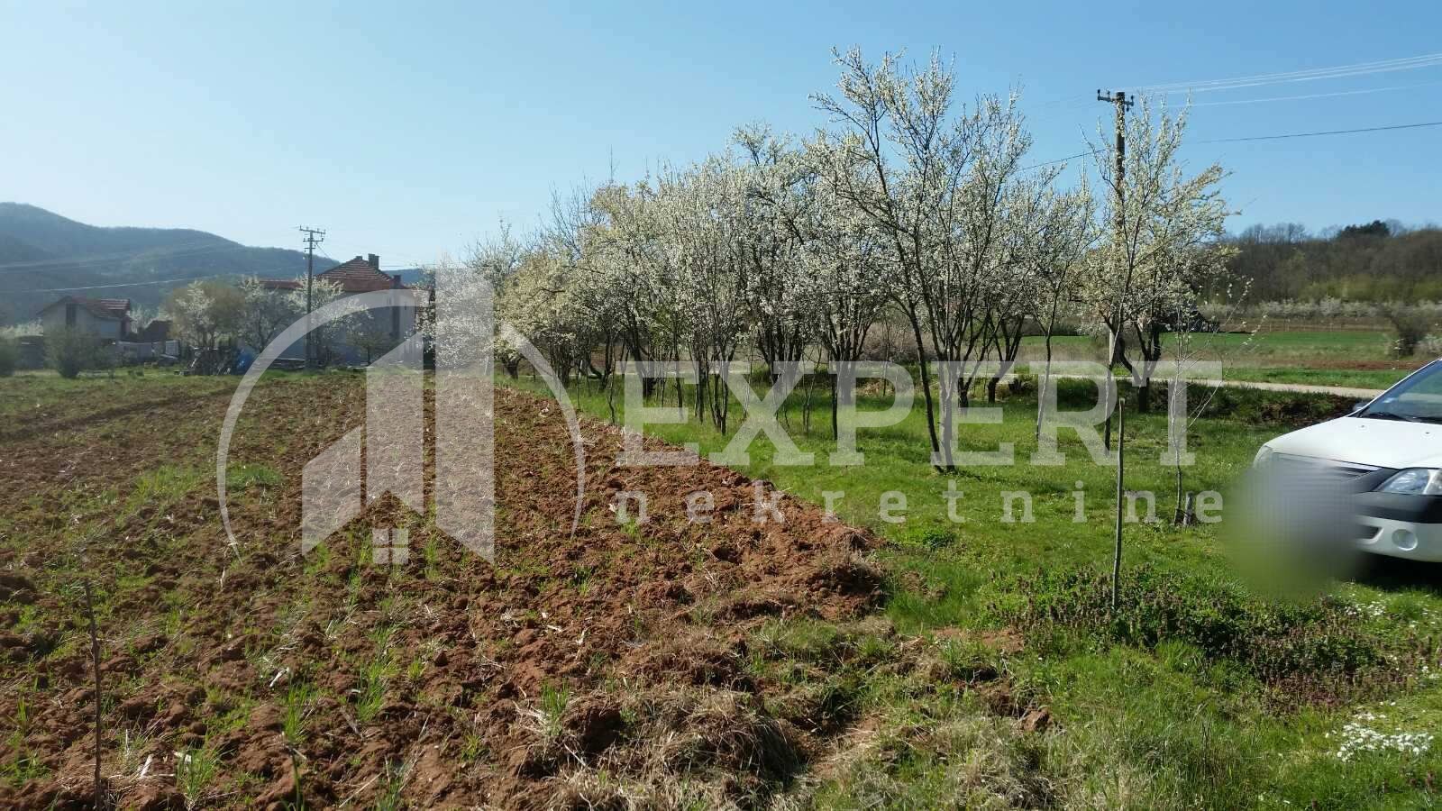 Dvosobna kuća, 121 m2, Branka Miljkovića ID: p-04159 19