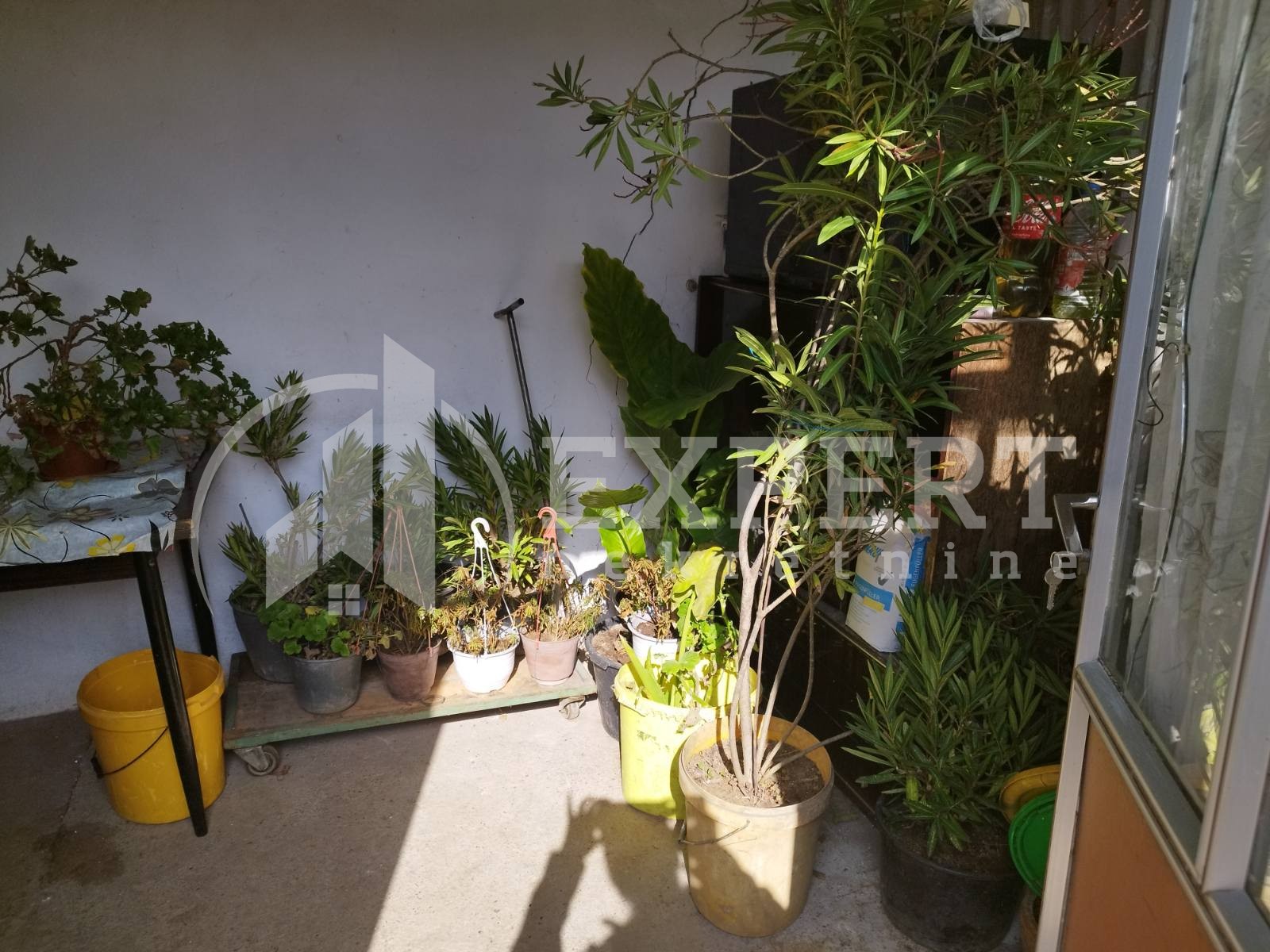 Dvosobna kuća, 57 m2, Knežica, Knežica ID: p-010826 2