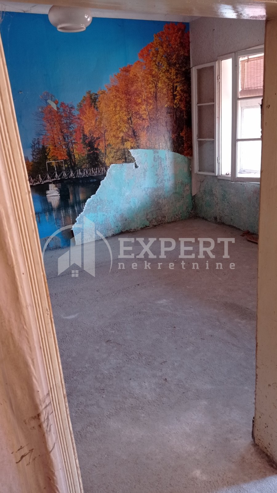 Dvosobna kuća, 70 m2, Knjaza Miloša ID: i-05637 6