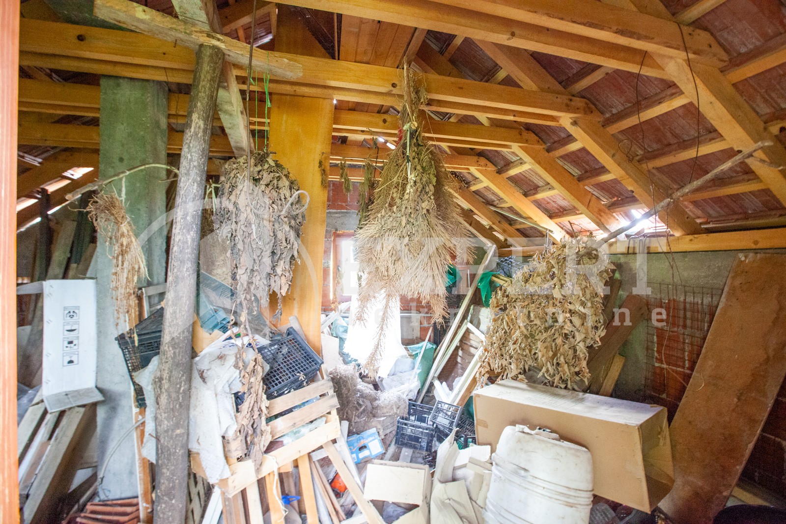 Dvosobna kuća, 80 m2, Palilula, Petra Velebita ID: p-08471 7