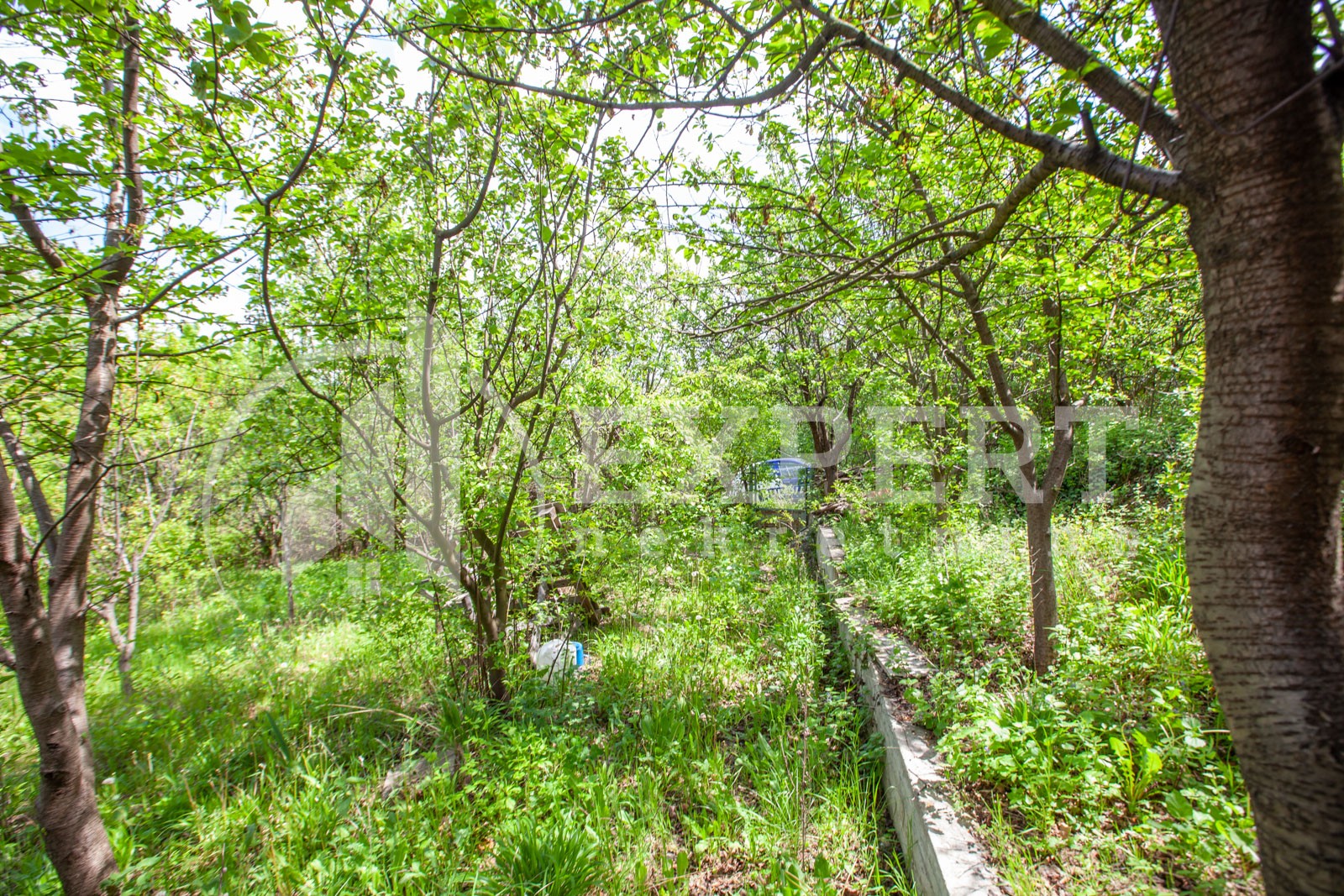 Dvosobna kuća, 80 m2, Palilula, Petra Velebita ID: p-08471 8