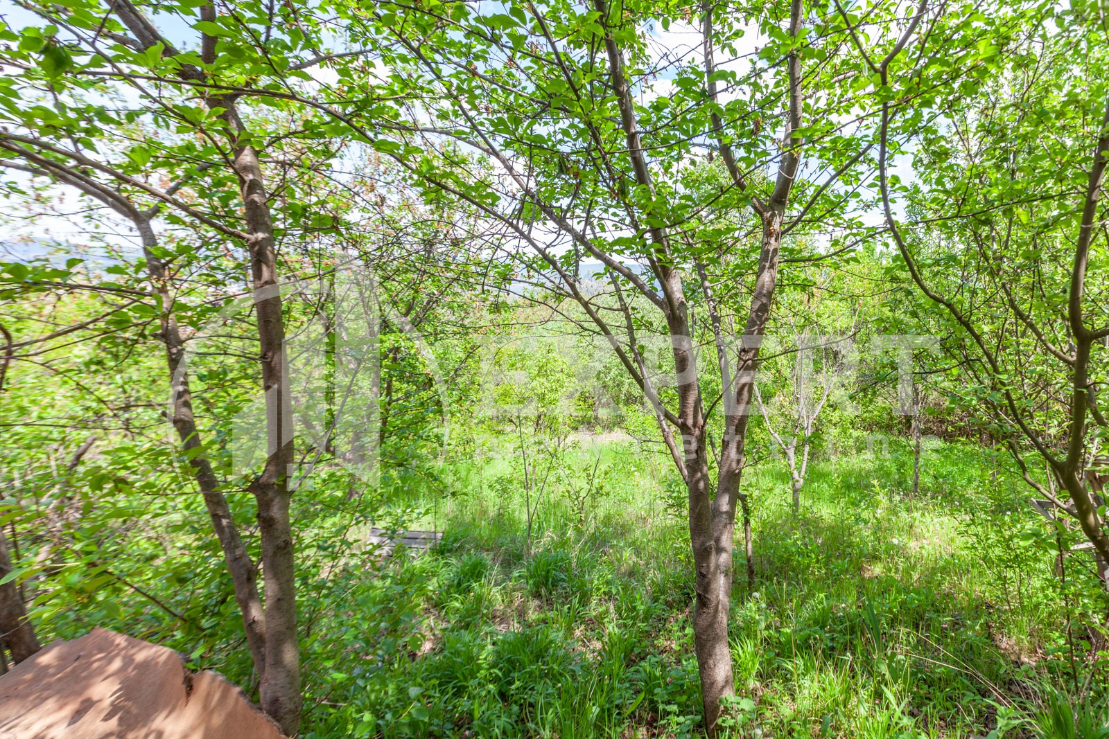 Dvosobna kuća, 80 m2, Palilula, Petra Velebita ID: p-08471 9