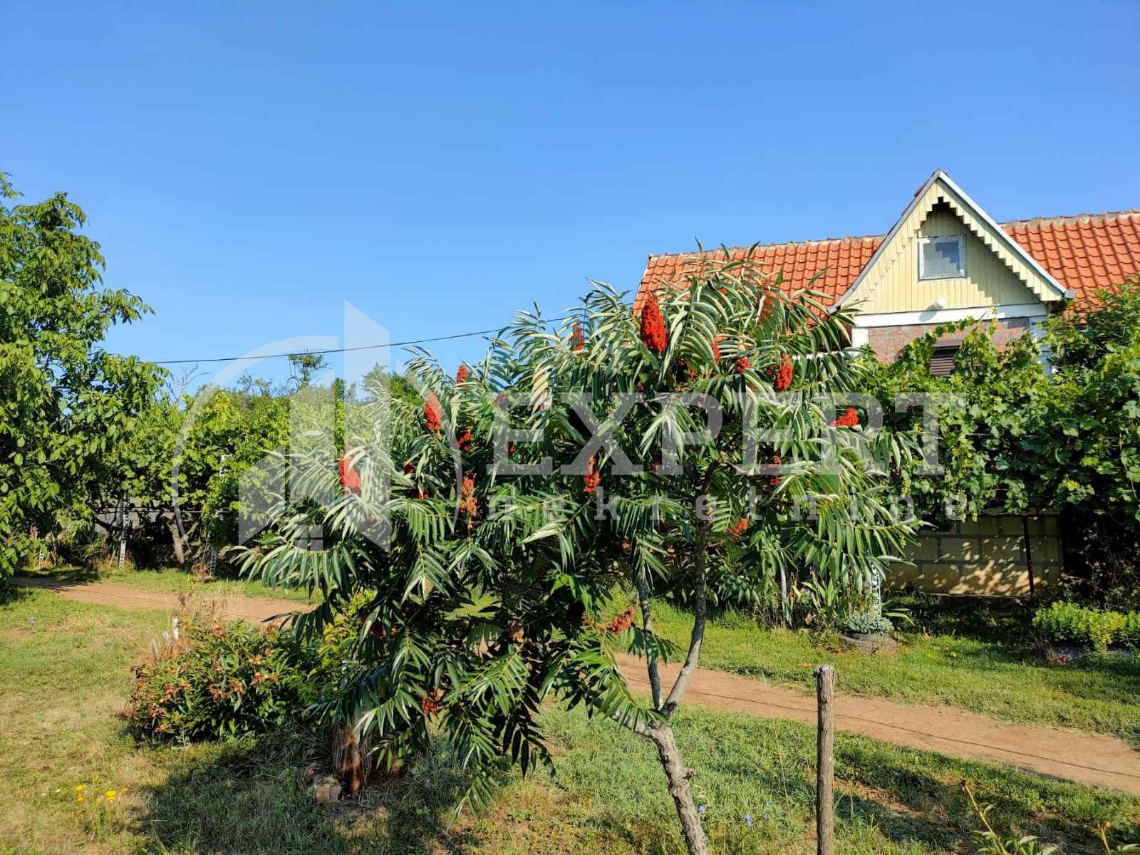 Dvosobna kuća, 80 m2, Staro Momčilovo, Staro Momčilovo ID: p-010338 26