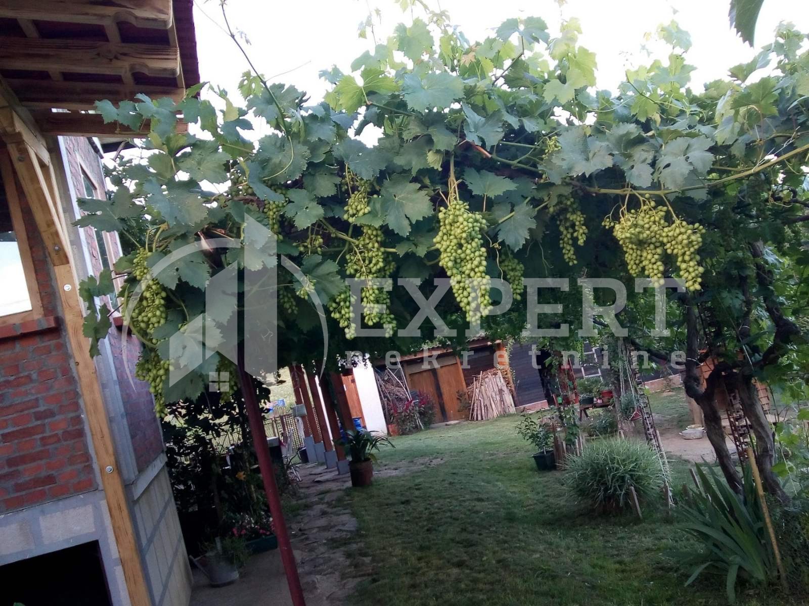 Dvosobna kuća, 80 m2, Staro Momčilovo, Staro Momčilovo ID: p-010338 27