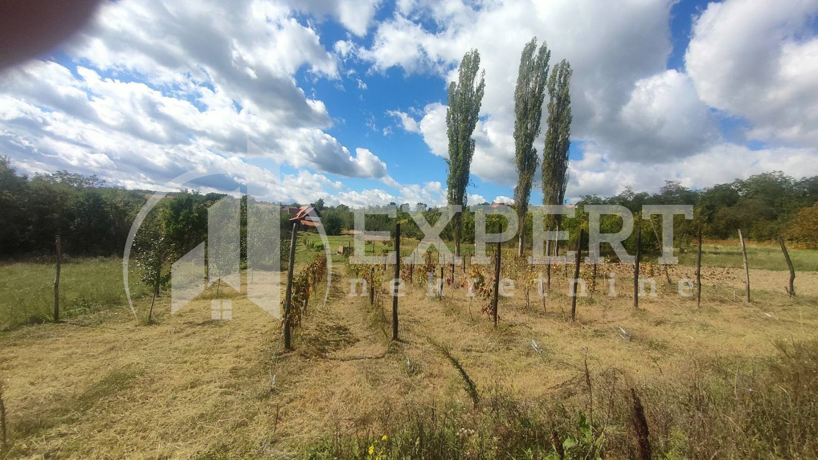 Dvosobna kuća, 80 m2, Staro Momčilovo, Staro Momčilovo ID: p-010338 31