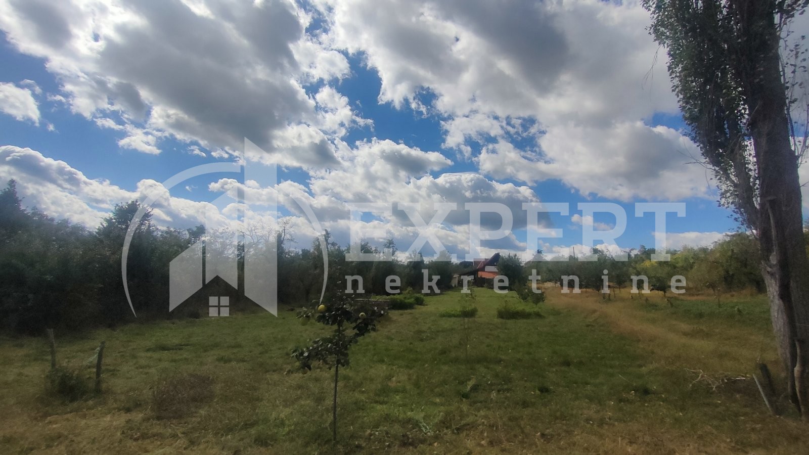 Dvosobna kuća, 80 m2, Staro Momčilovo, Staro Momčilovo ID: p-010338 34