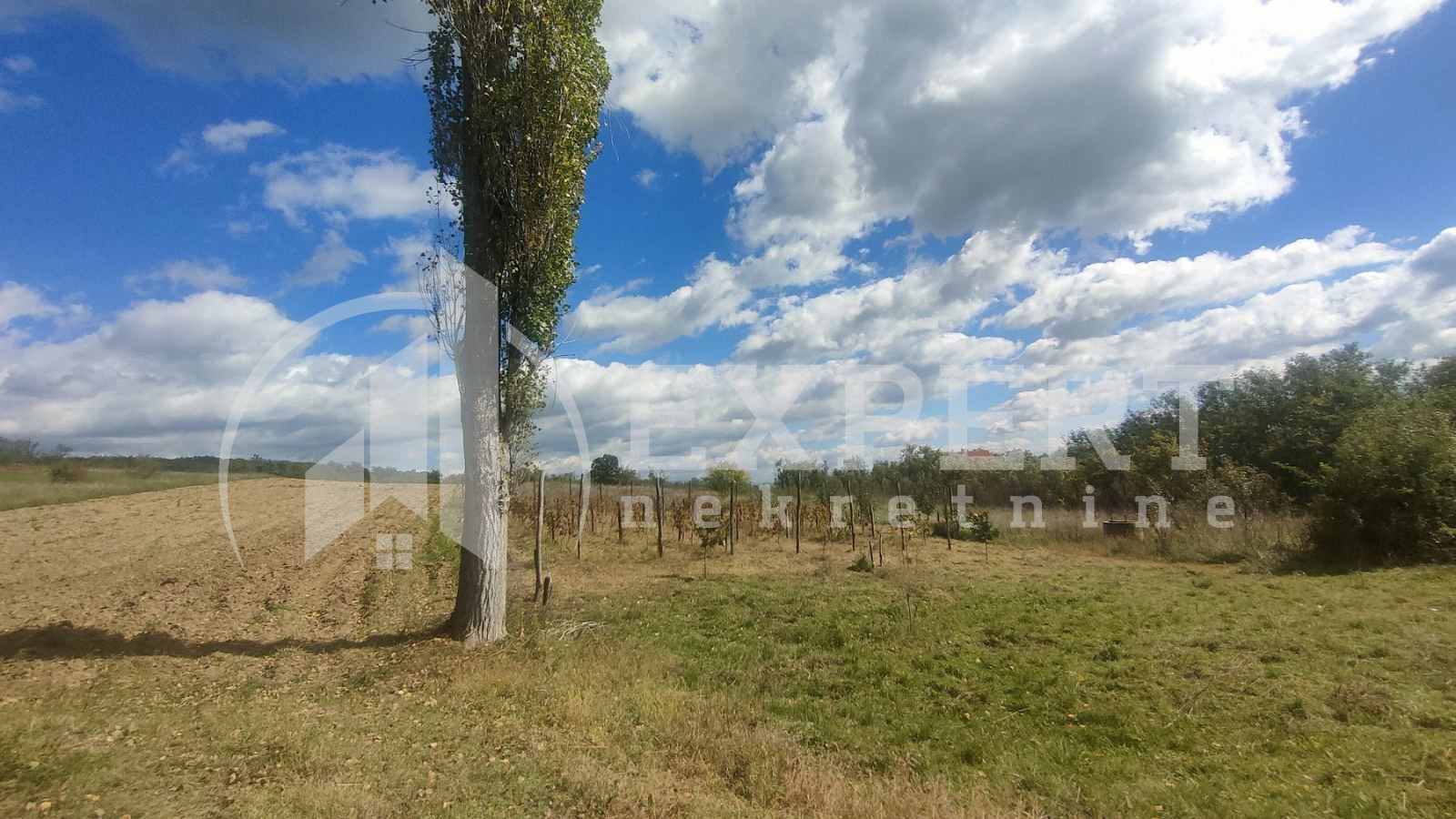 Dvosobna kuća, 80 m2, Staro Momčilovo, Staro Momčilovo ID: p-010338 18