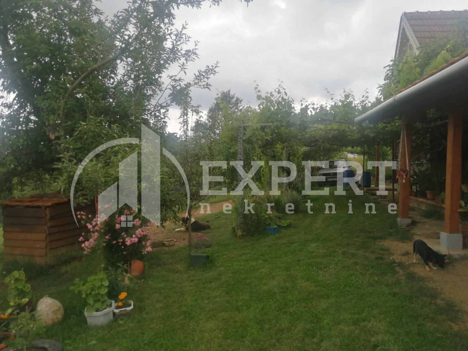 Dvosobna kuća, 80 m2, Staro Momčilovo, Staro Momčilovo ID: p-010338 19