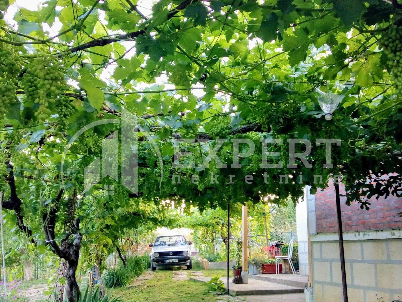 Dvosobna kuća, 80 m2, Staro Momčilovo, Staro Momčilovo ID: p-010338 10