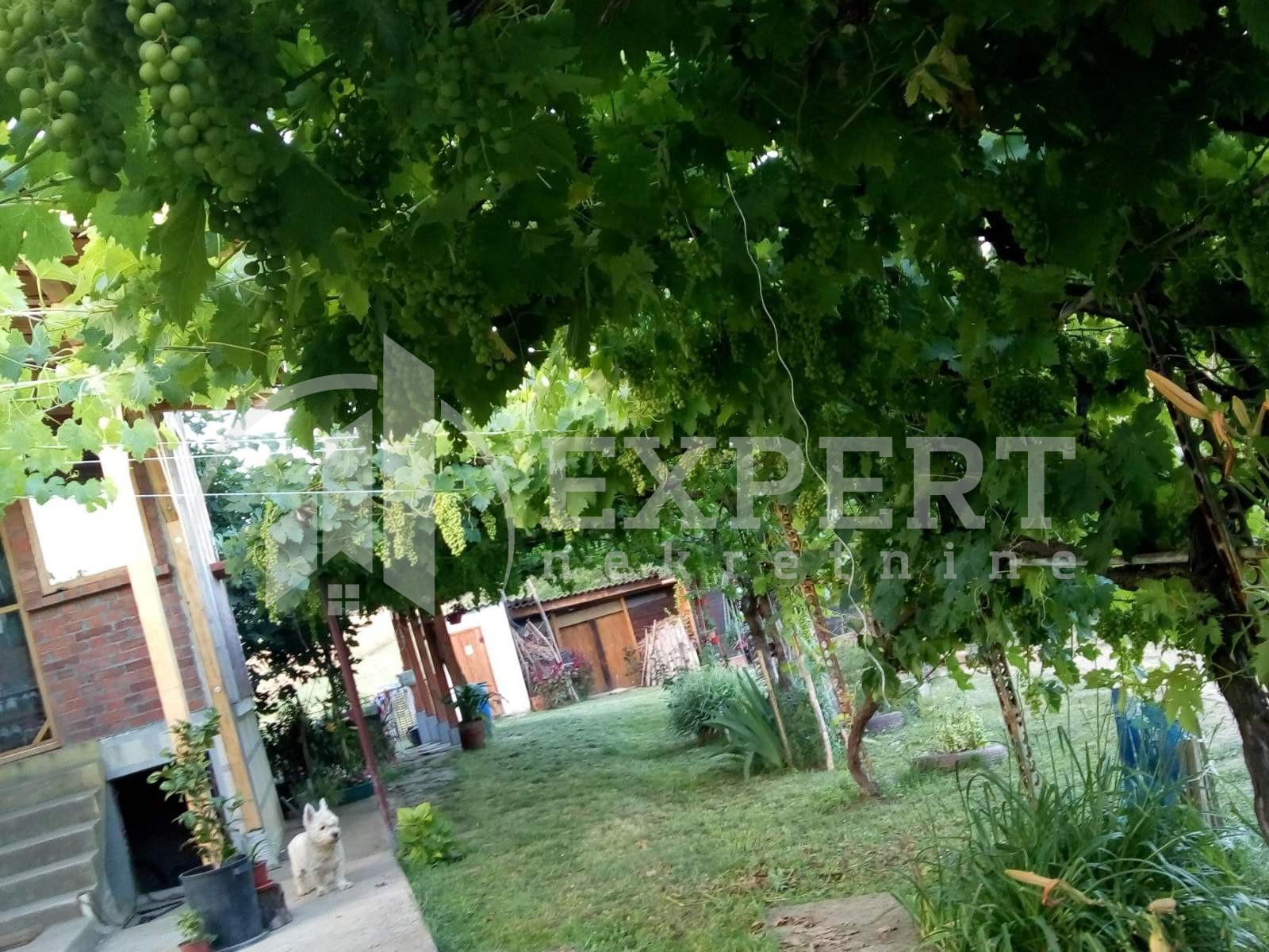 Dvosobna kuća, 80 m2, Staro Momčilovo, Staro Momčilovo ID: p-010338 38
