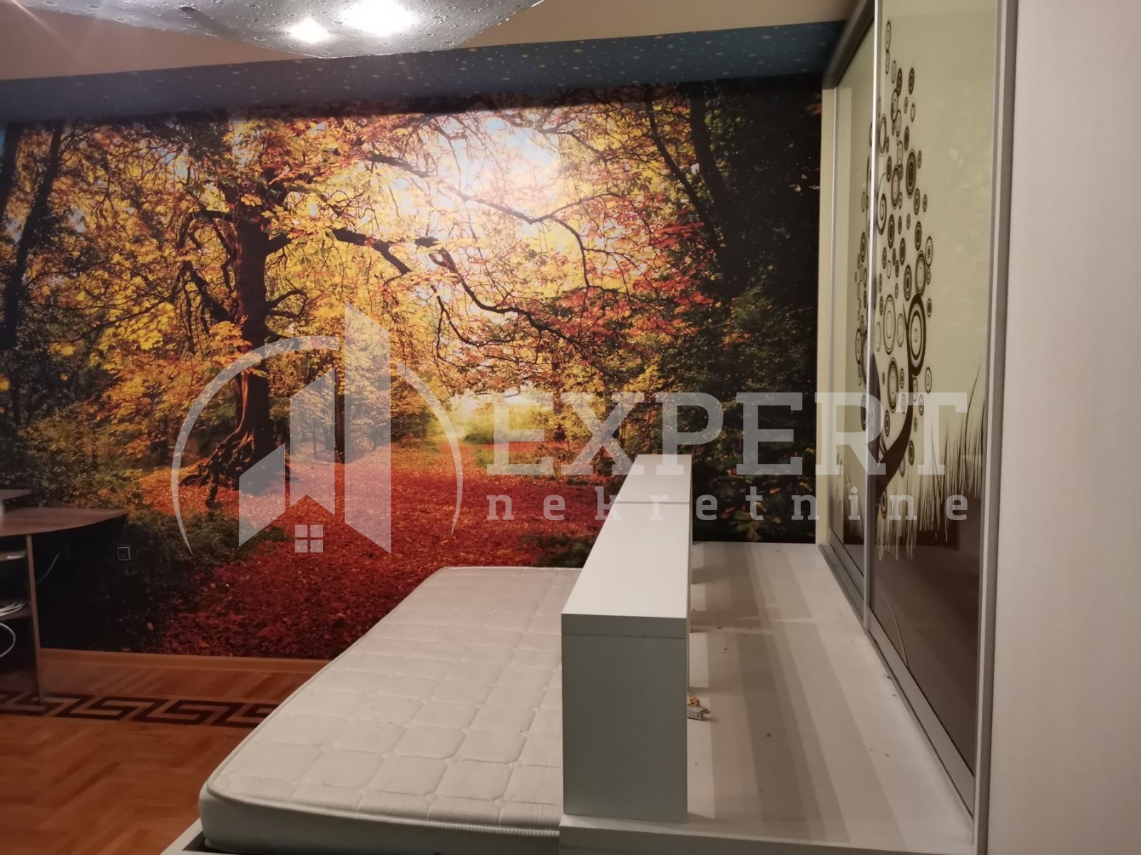 Jednosoban stan, 51 m2, Centar, Kej Kola srpskih sestara ID: i-010398 17