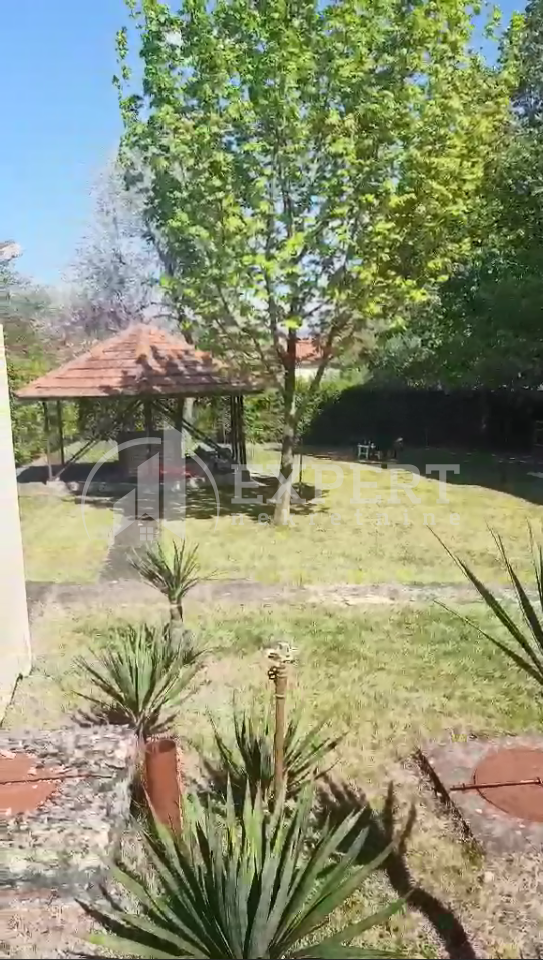 Jednosoban stan, 58 m2, Pantelej, Matejevački put ID: i-07868 12