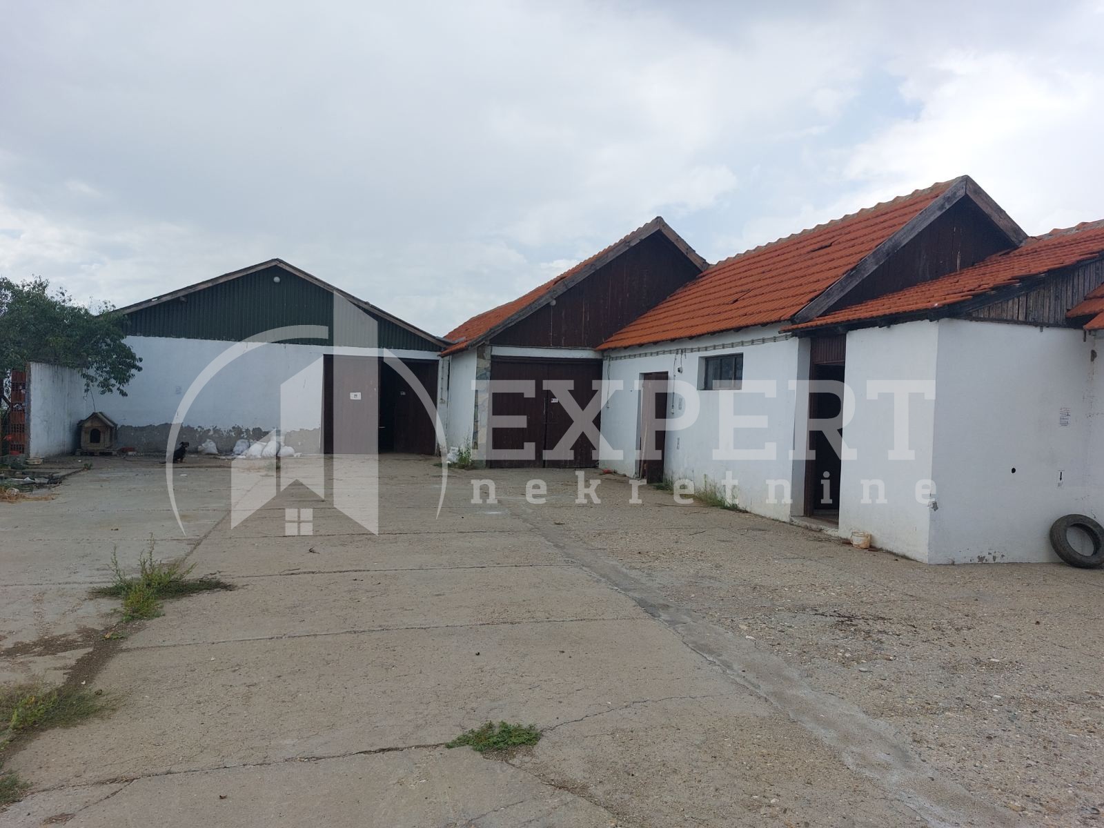 Lokal, 437 m2, Palilula, Donje Medjurovo ID: i-06714 2