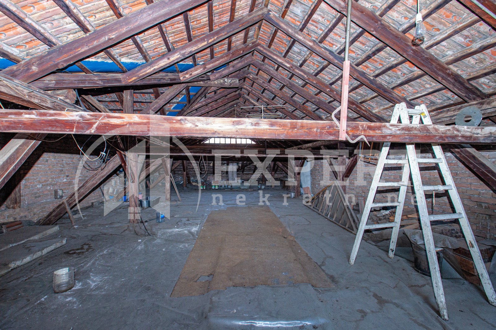 Lokal, 500 m2, Medijana, Svetozara Markovića ID: i-03643 12
