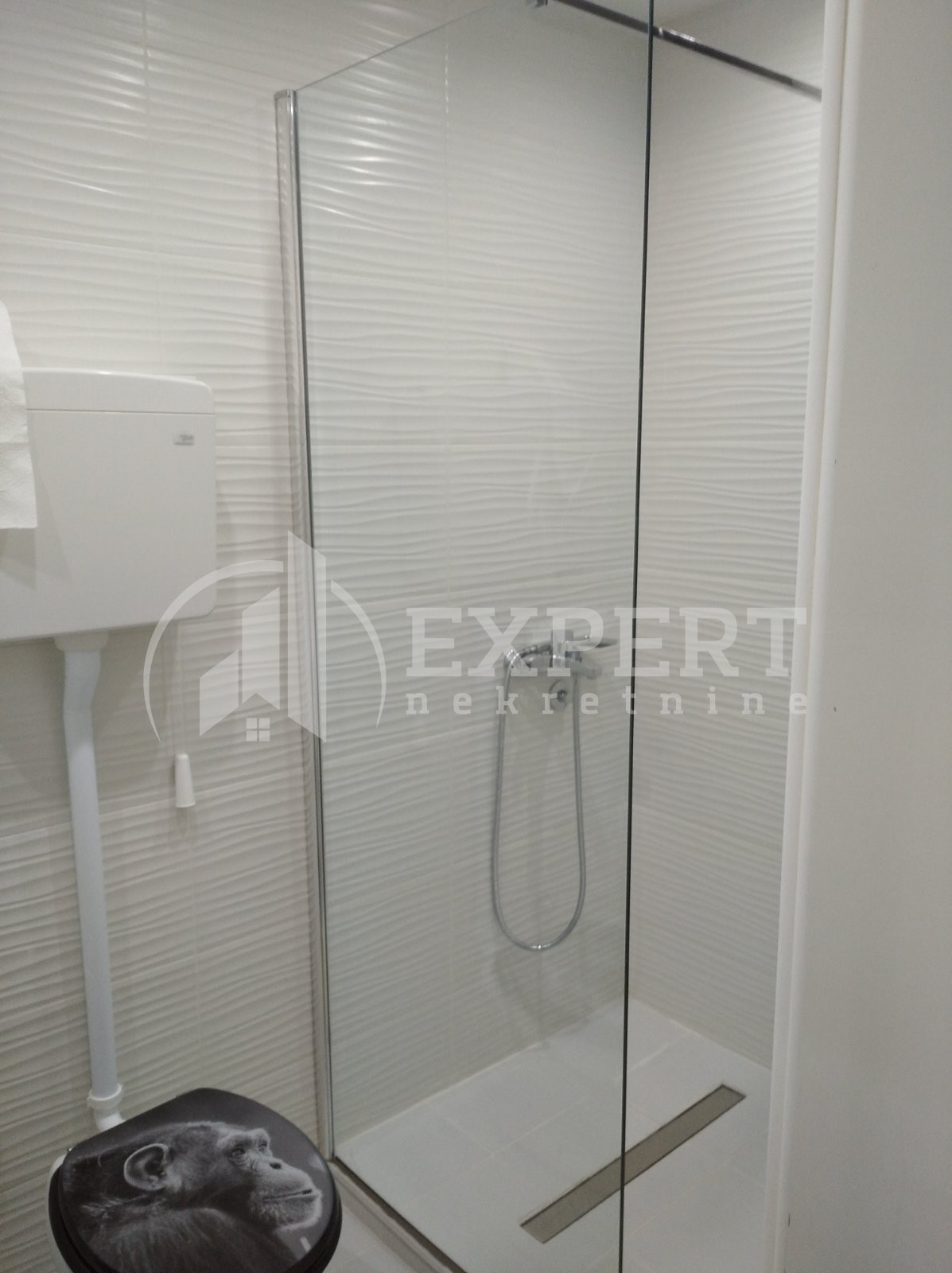 Lokal, 53 m2, Palilula, Dimitrija Tucovića ID: i-08259 10