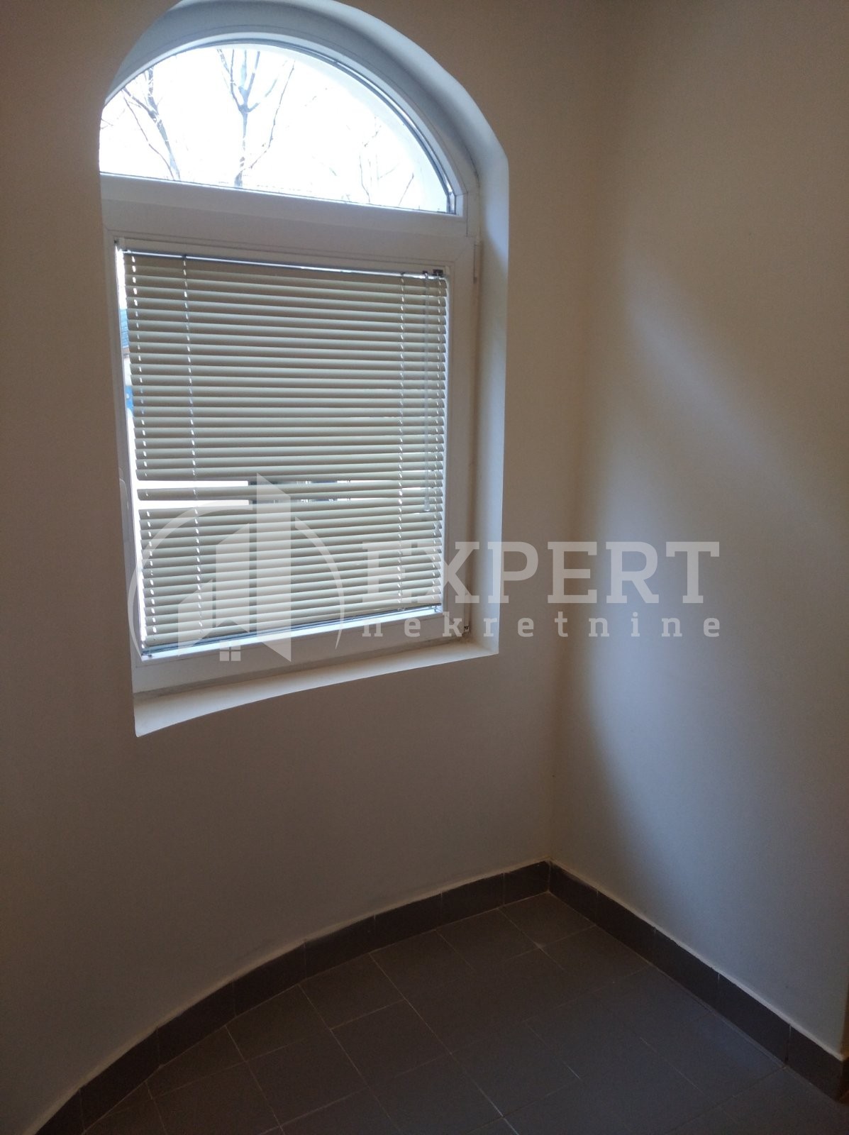 Lokal, 53 m2, Palilula, Dimitrija Tucovića ID: i-08259 2