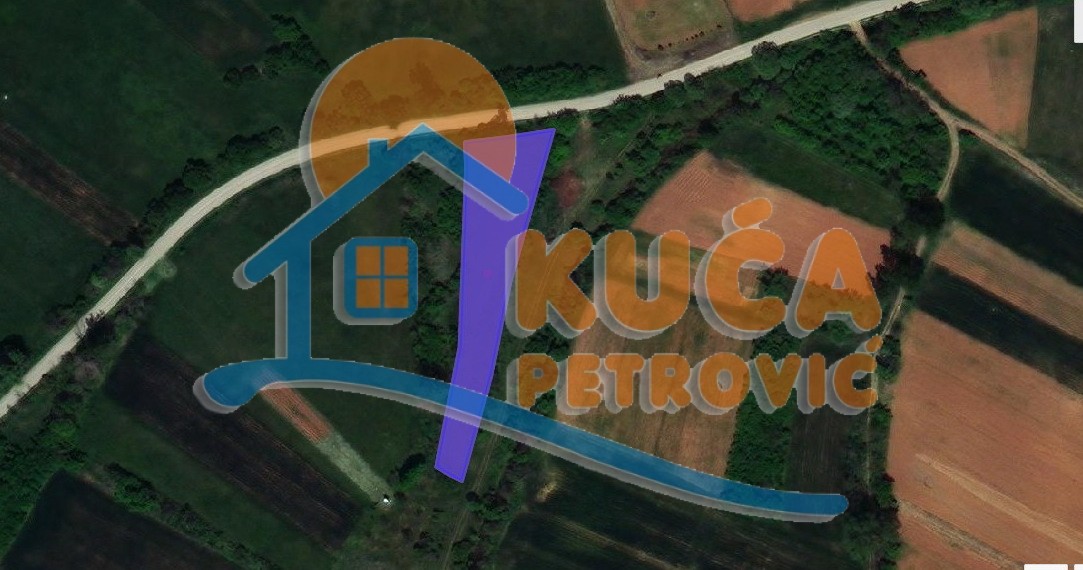 Plac, Barje Čiflik, Barje Čiflik ID: p-09152 1