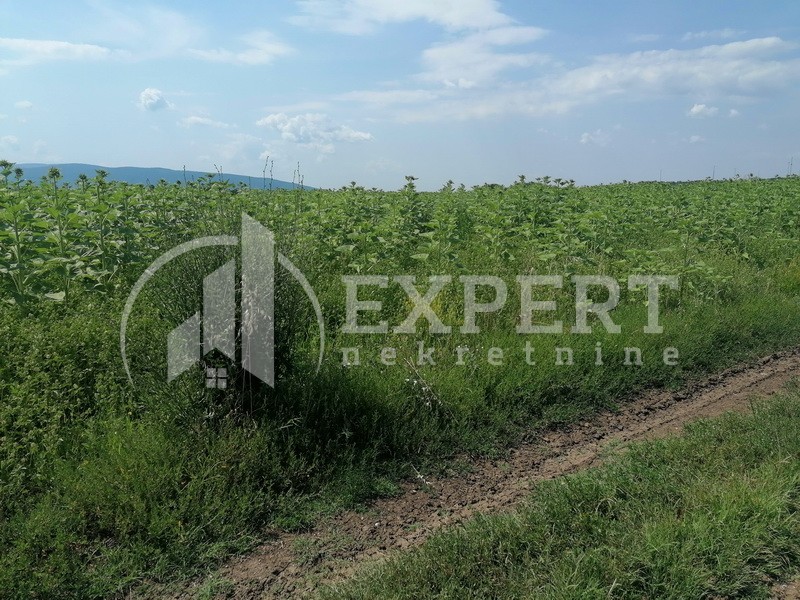 Plac, Čamurlija, Toponički put ID: p-09129 2