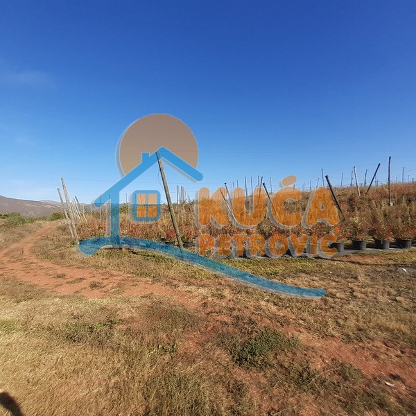 Plac, Crvena Reka ID: p-09849 12